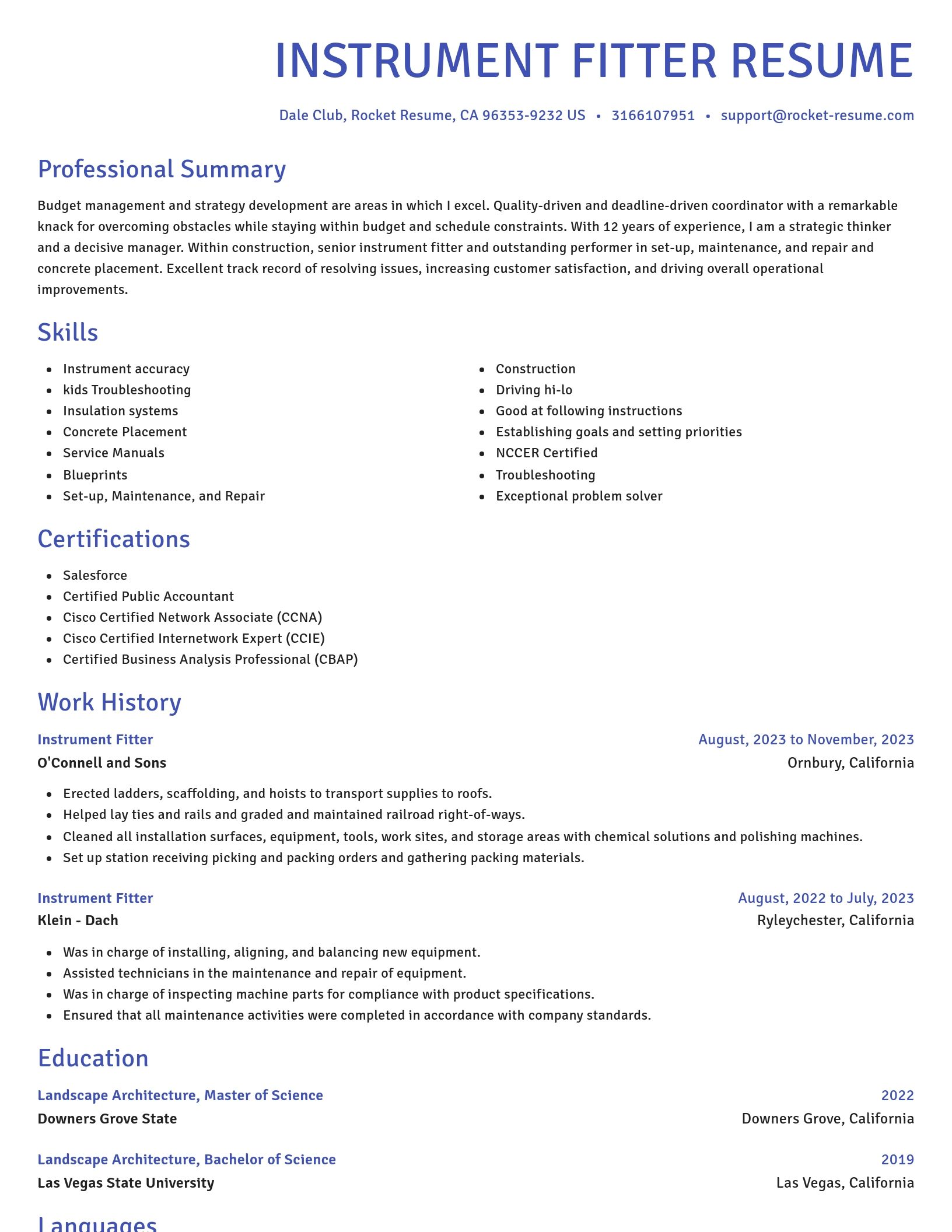Novel resume template
