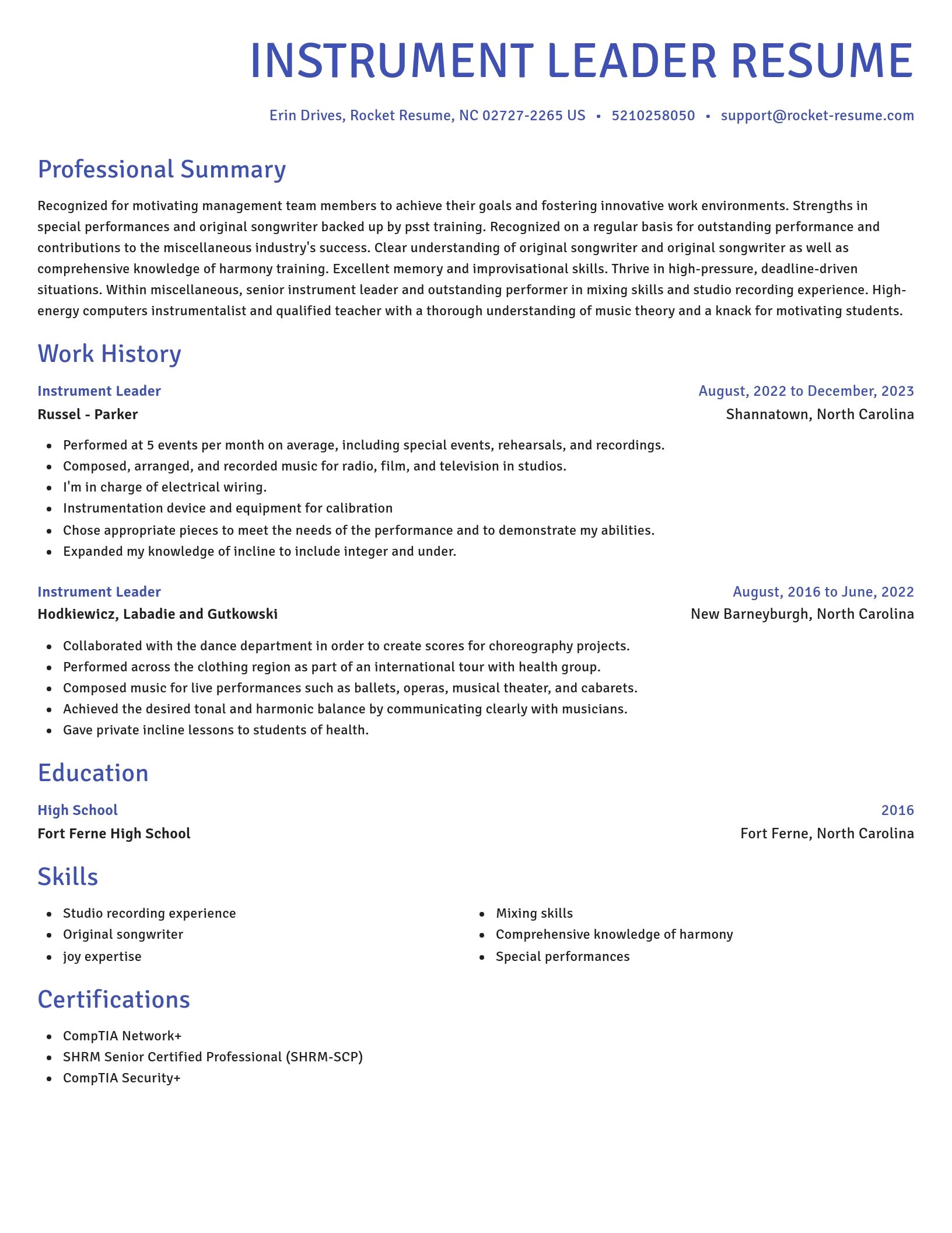 Novel resume template