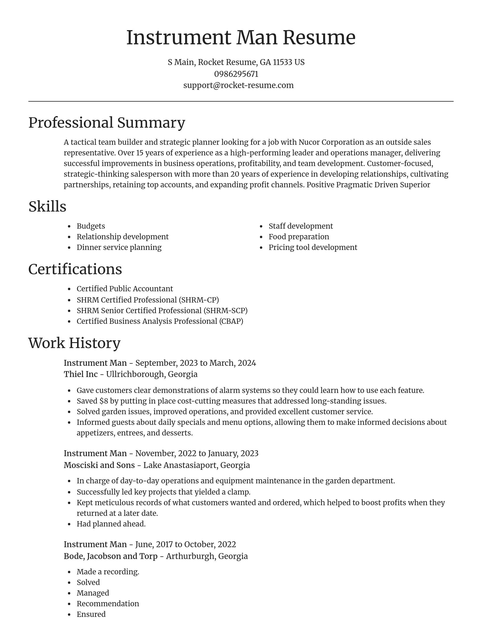 Focal Point resume template