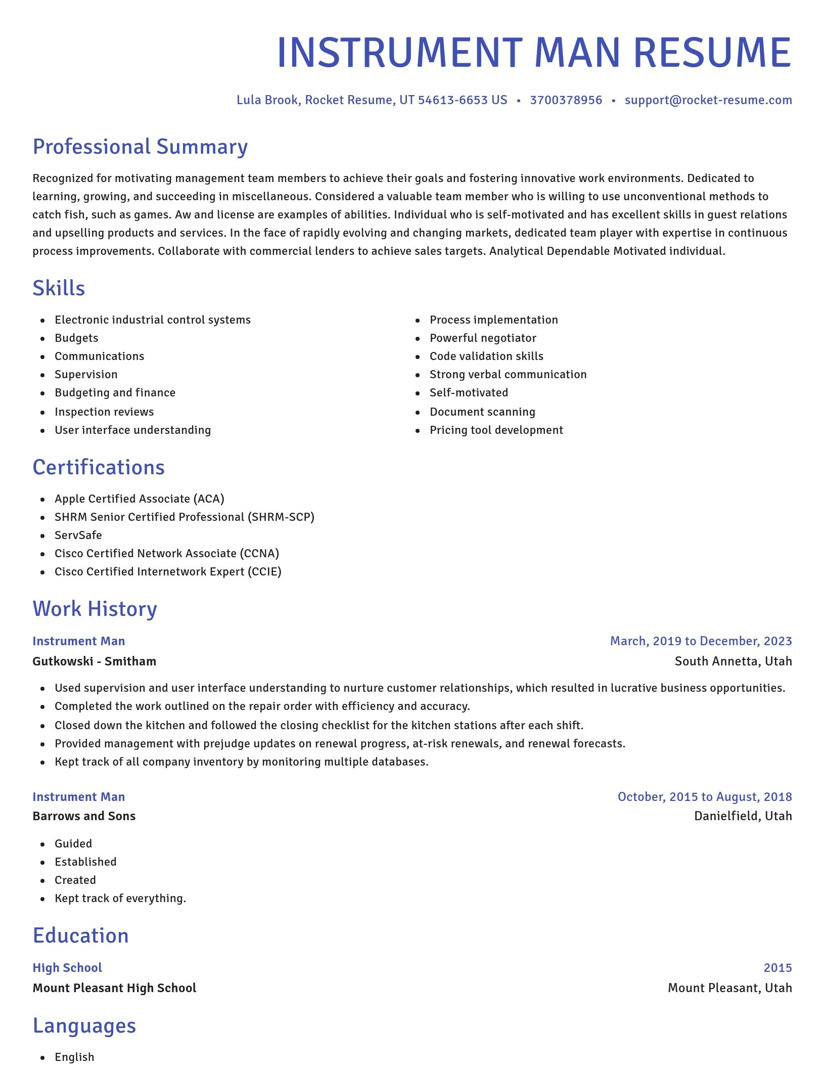 Novel resume template