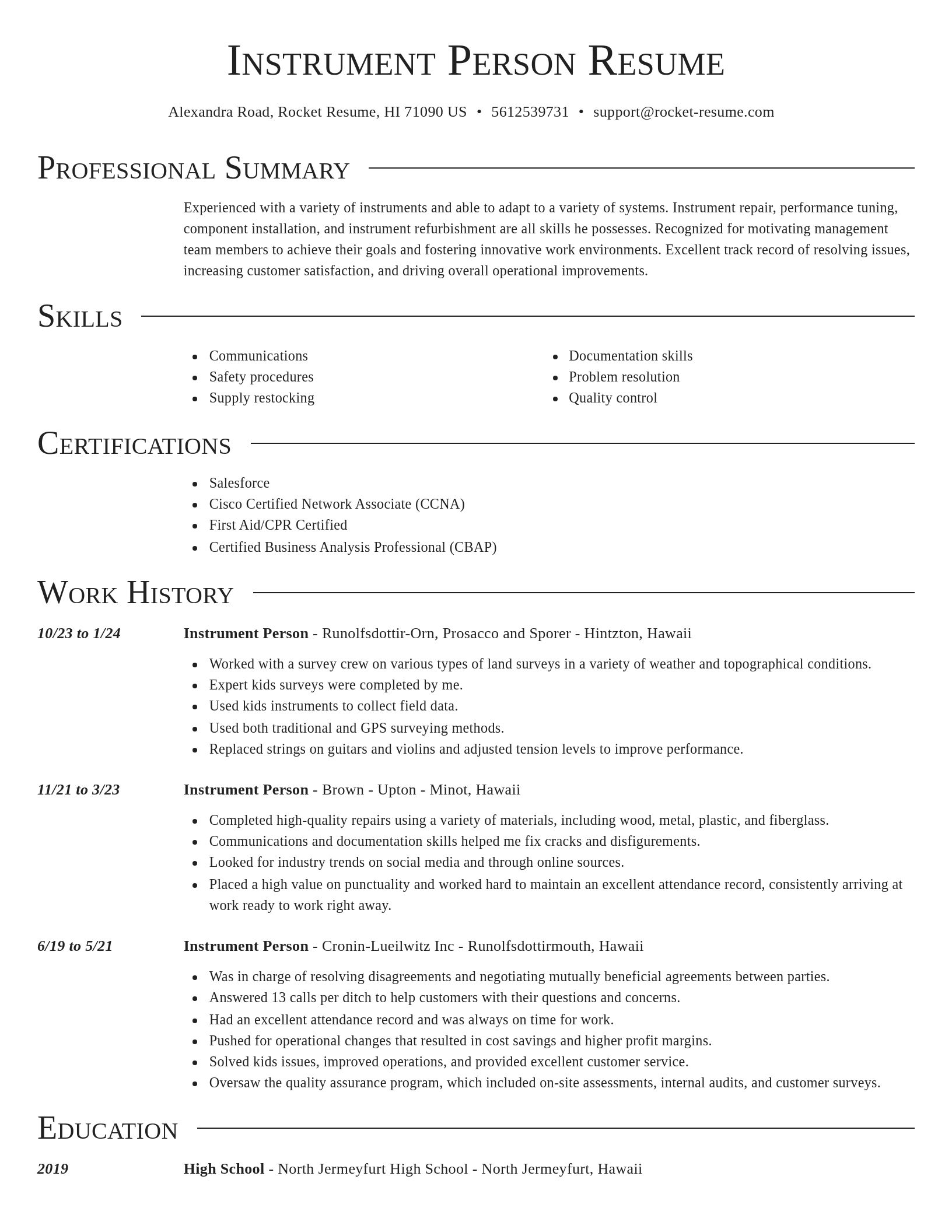 Director resume template