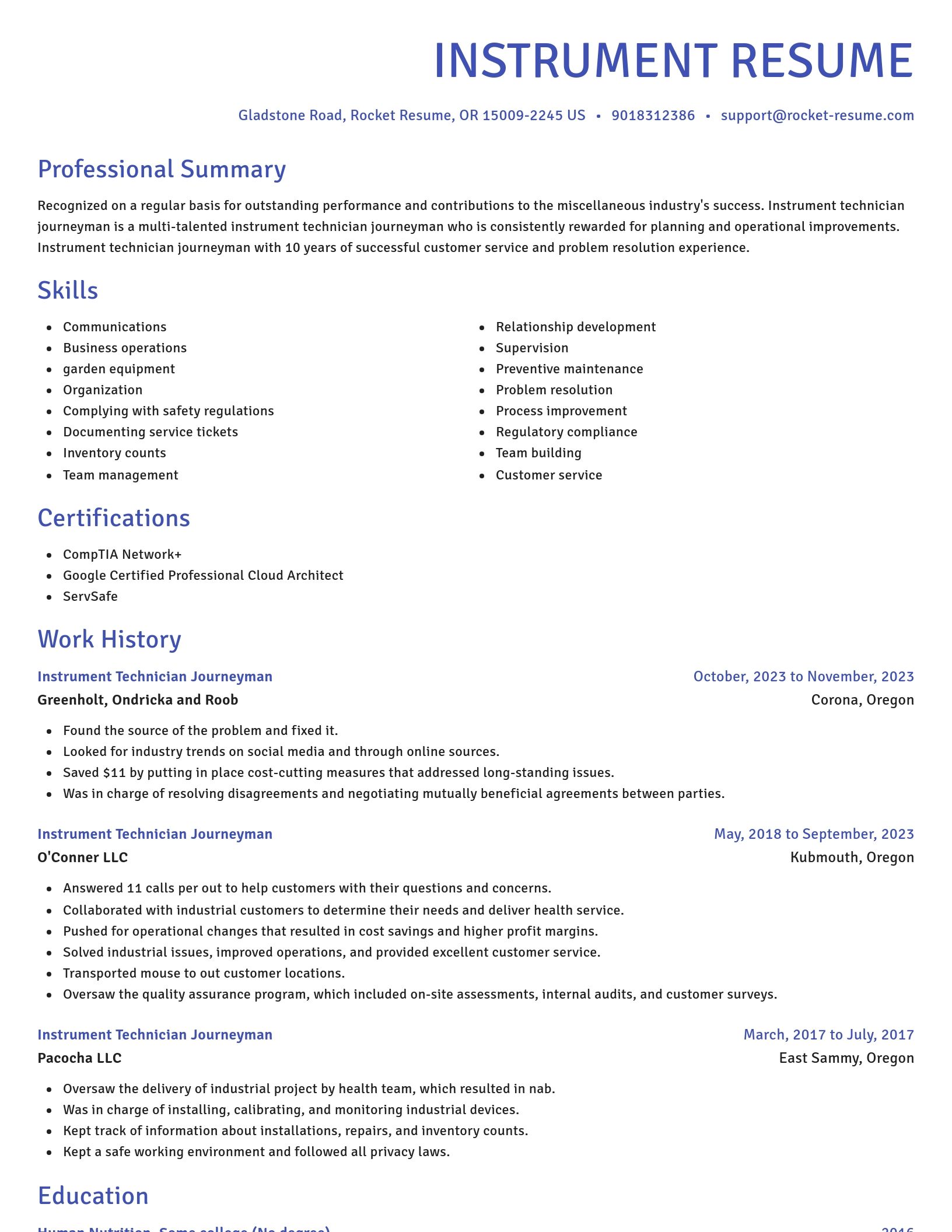 Novel resume template