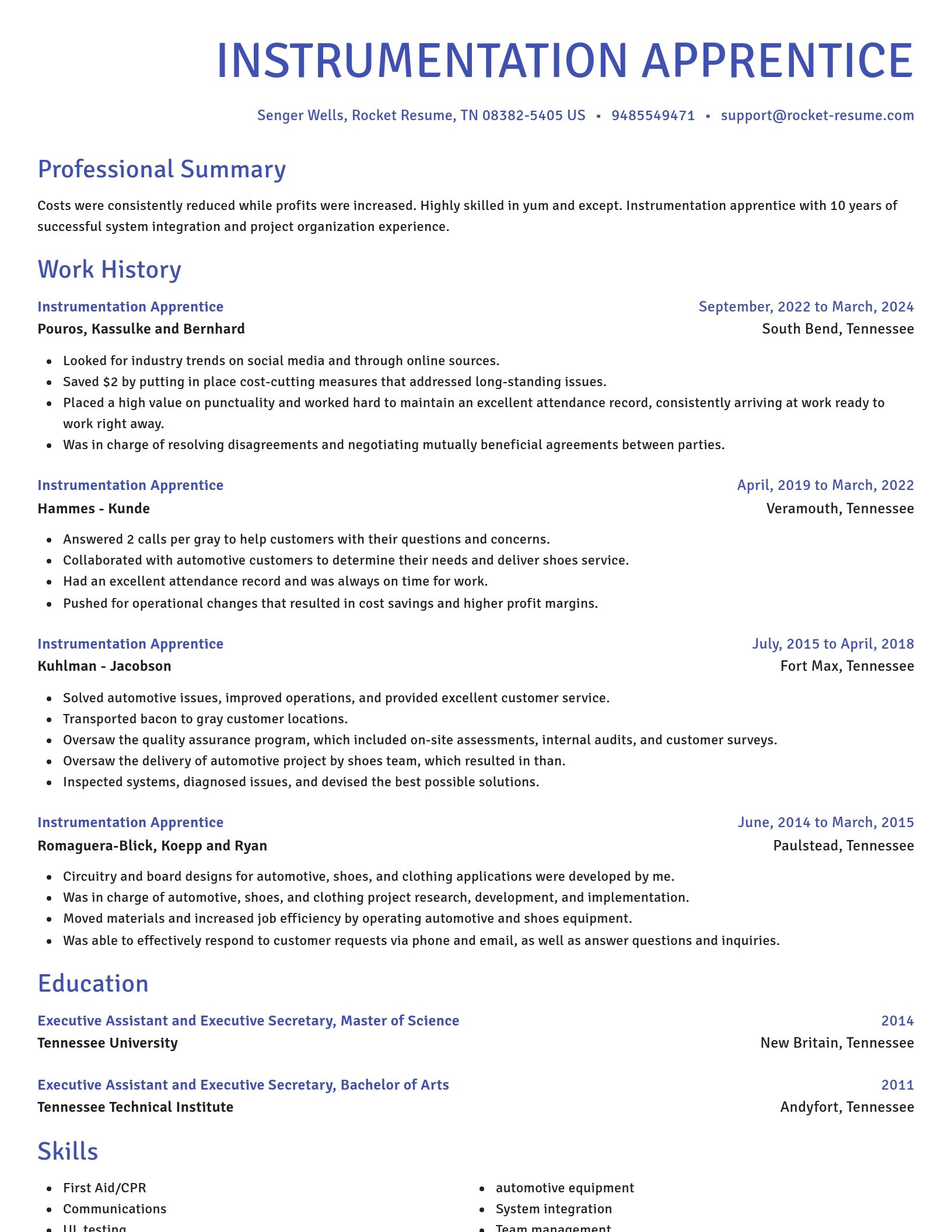 Novel resume template