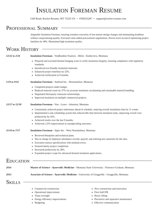 Director resume template