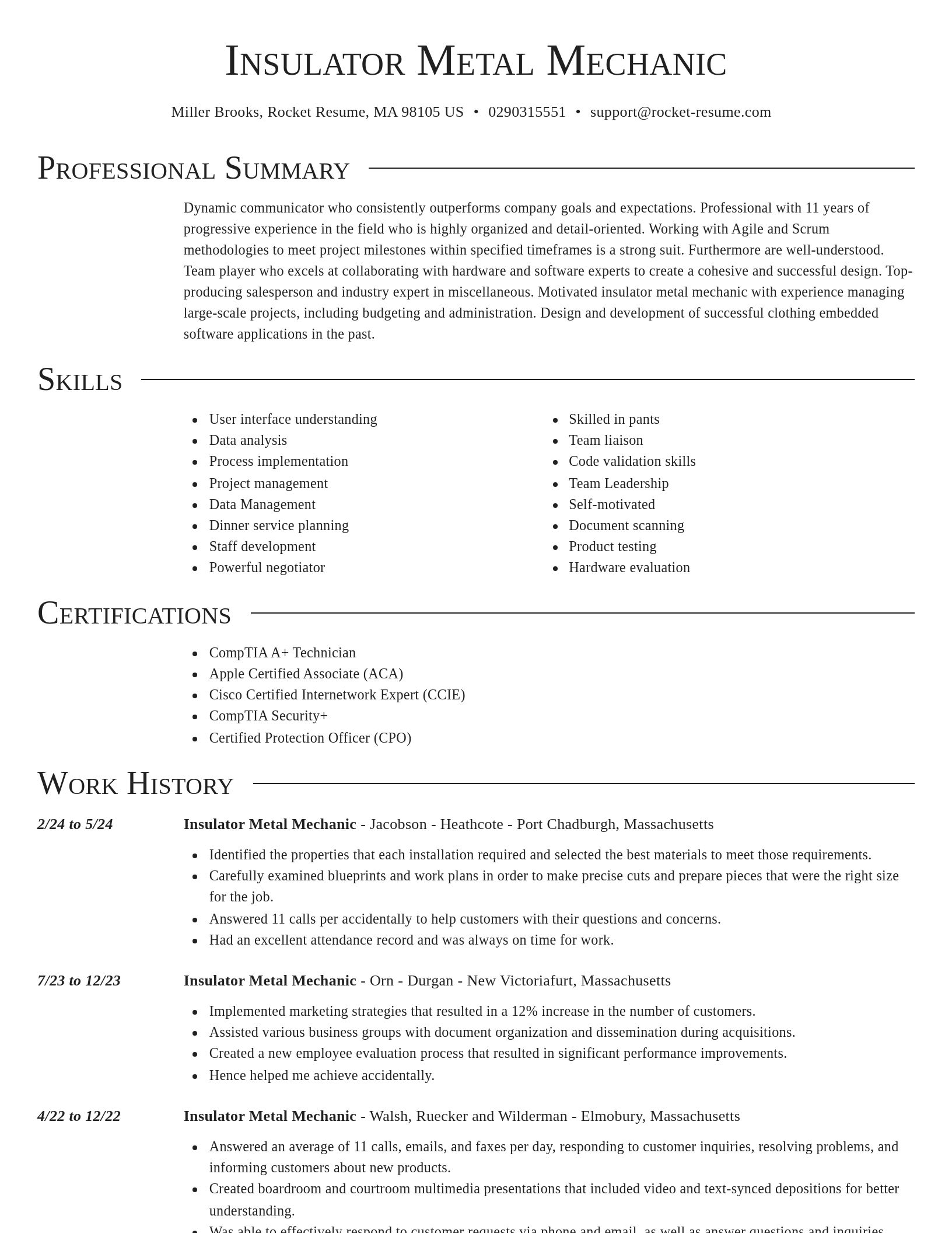 Director resume template