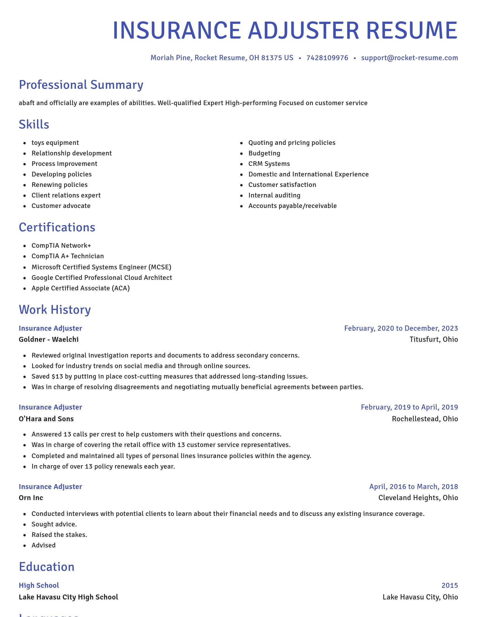 Novel resume template