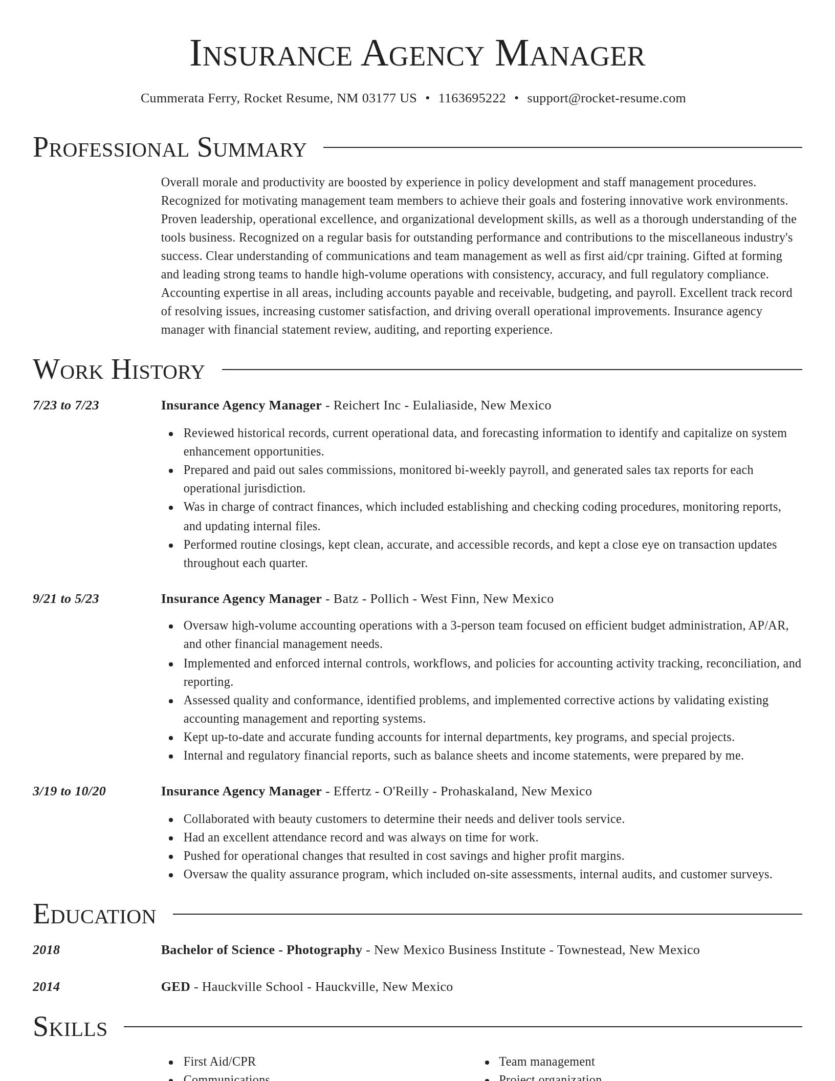 Director resume template