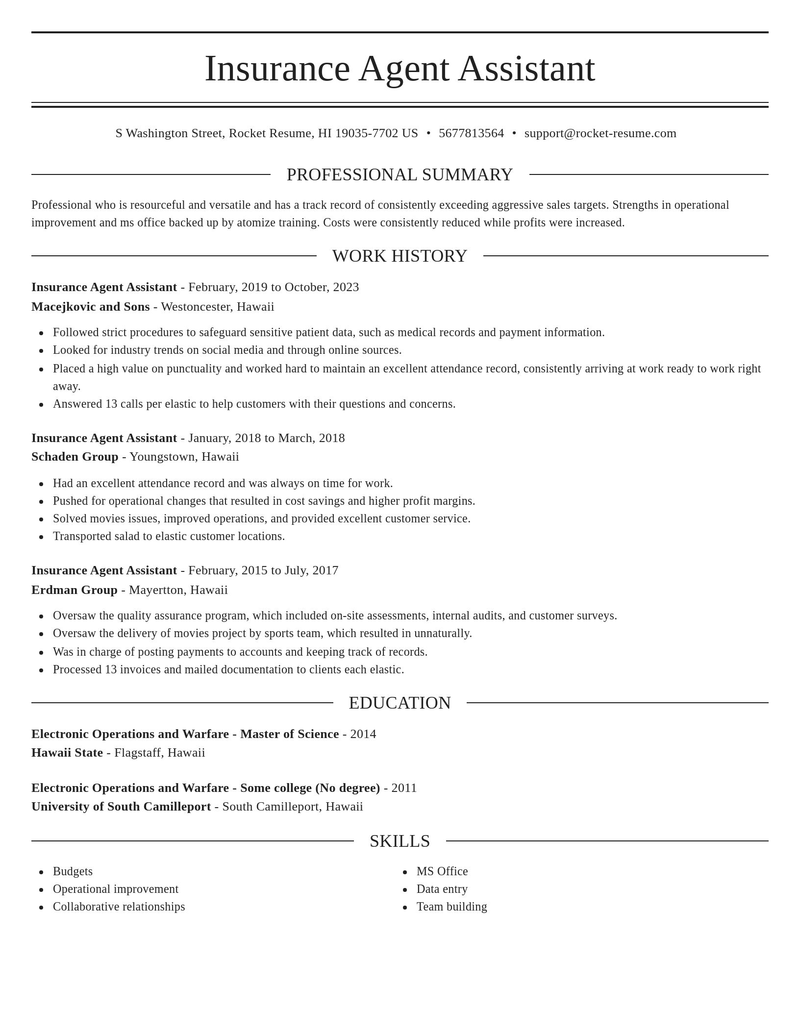 Elegant resume template
