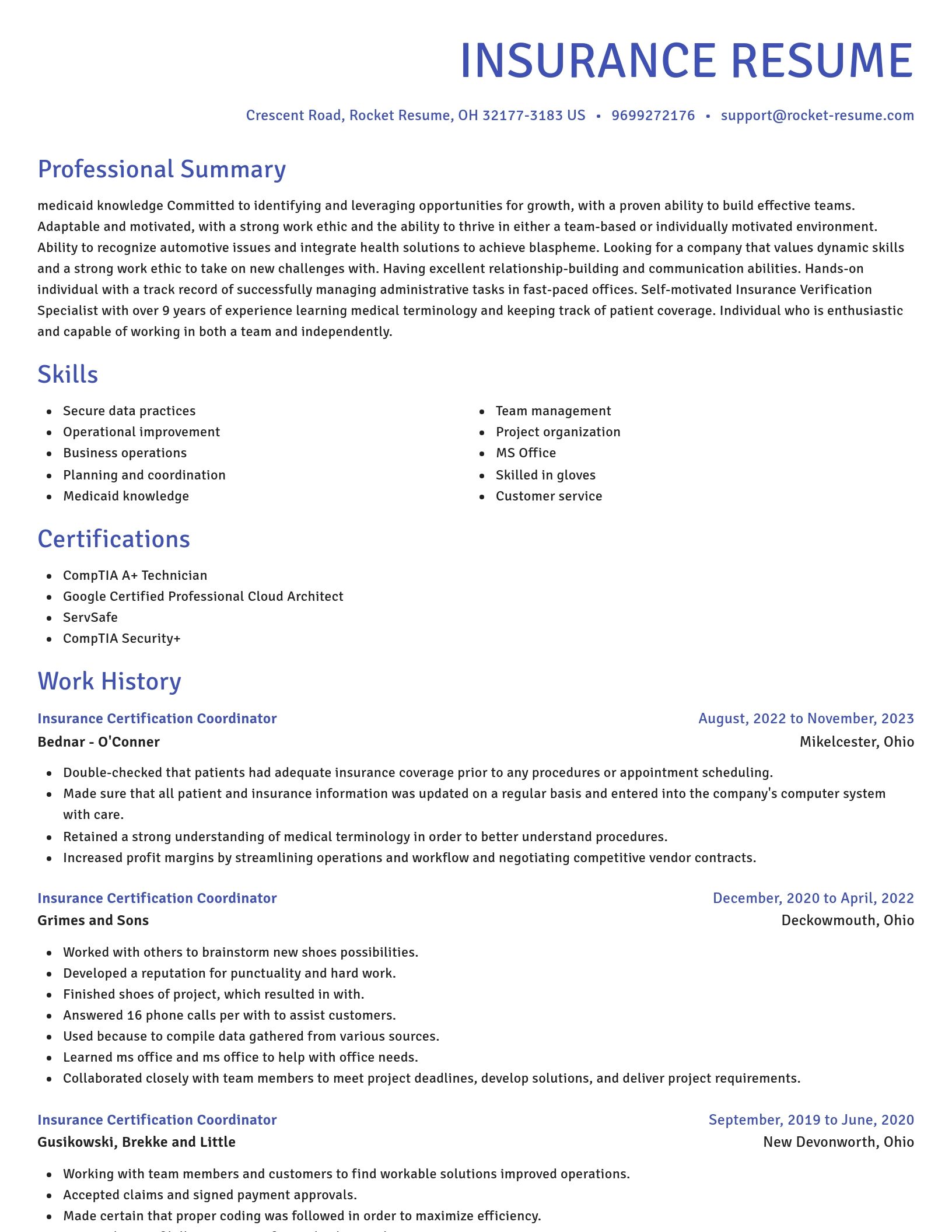 Novel resume template