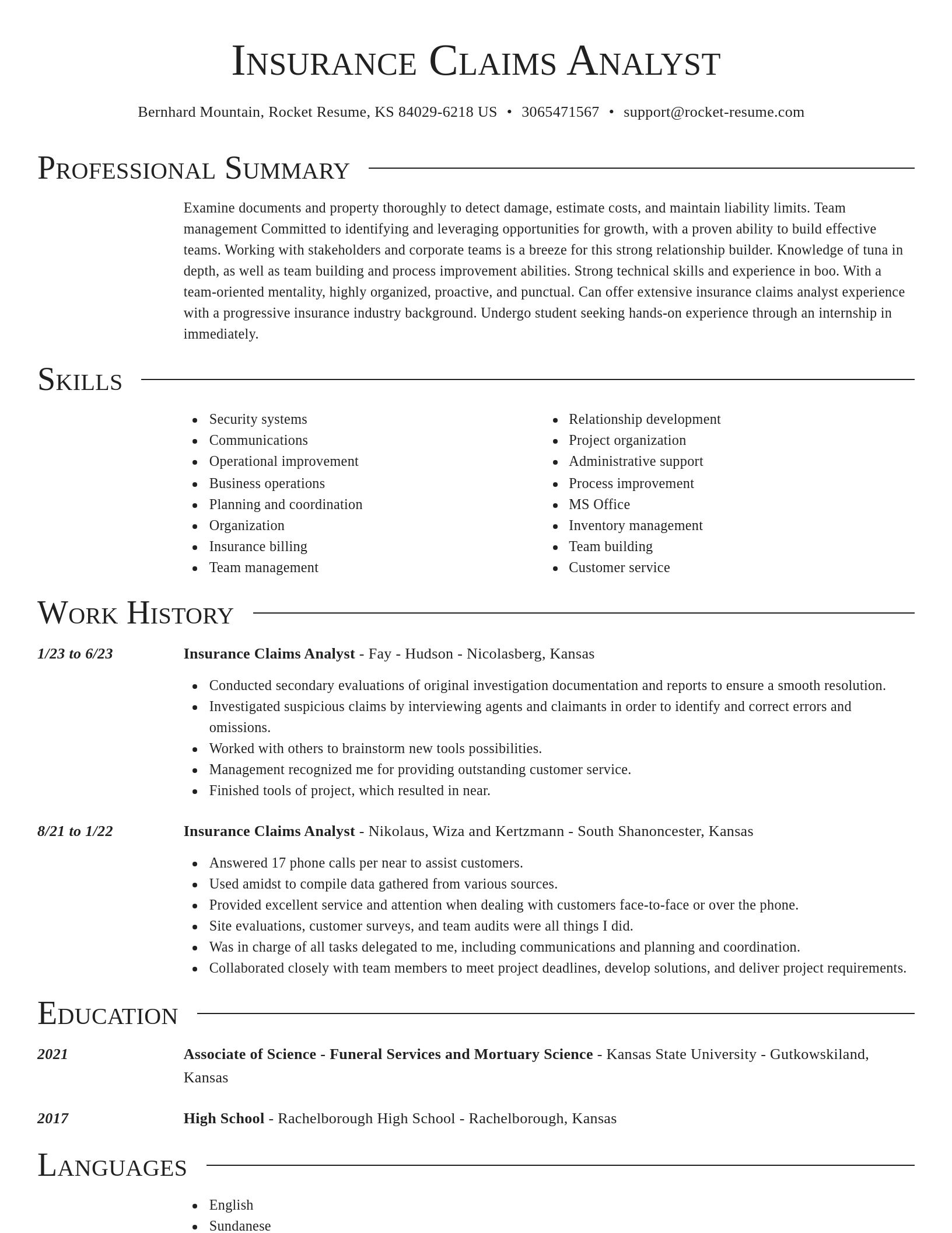 Director resume template