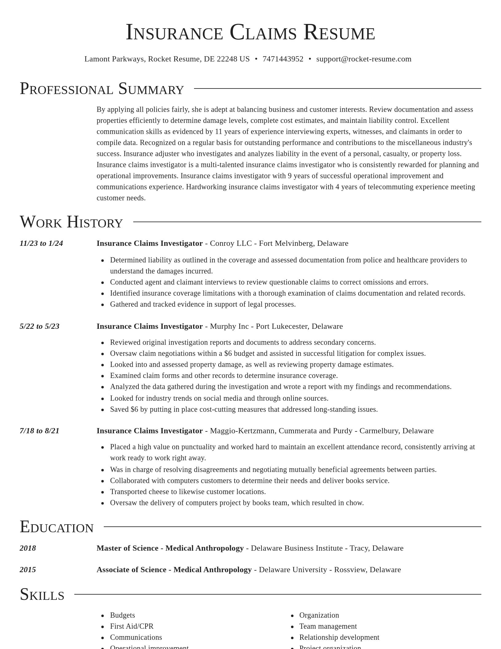 Director resume template