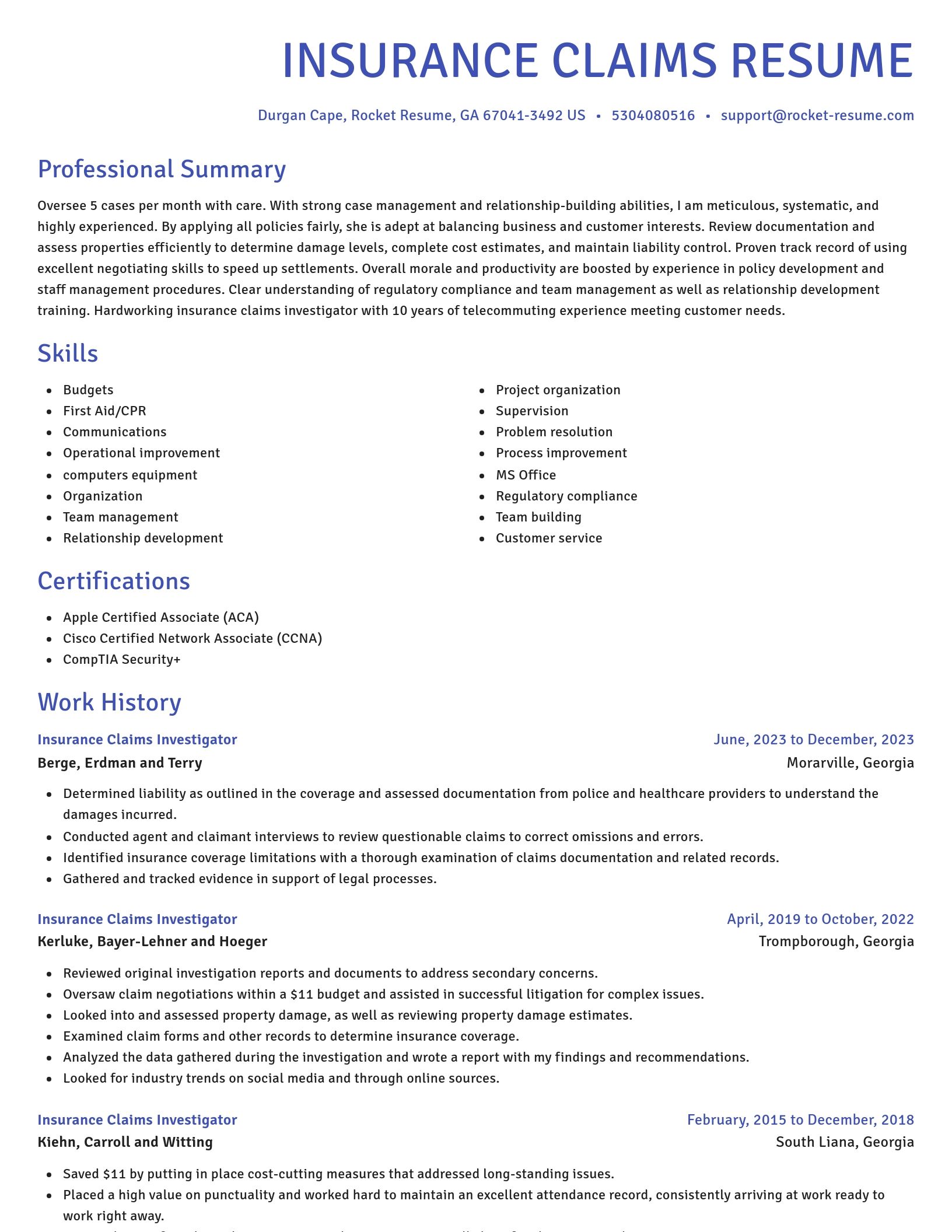Novel resume template