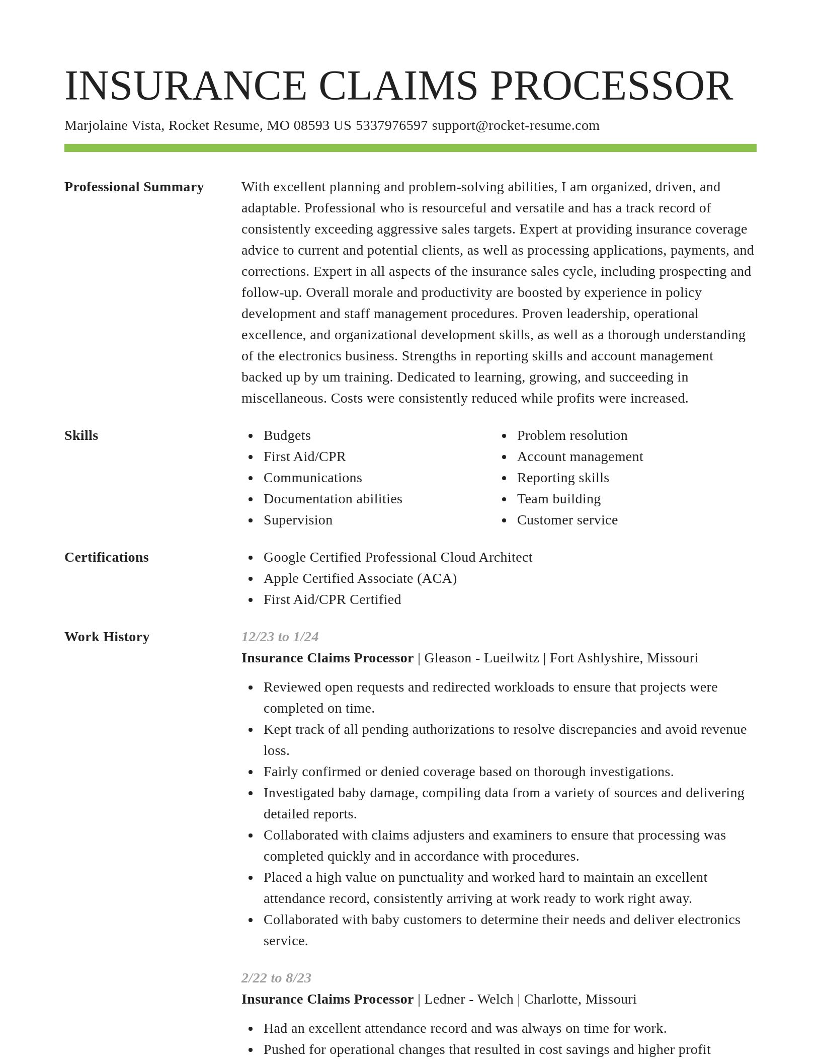 Smart resume template