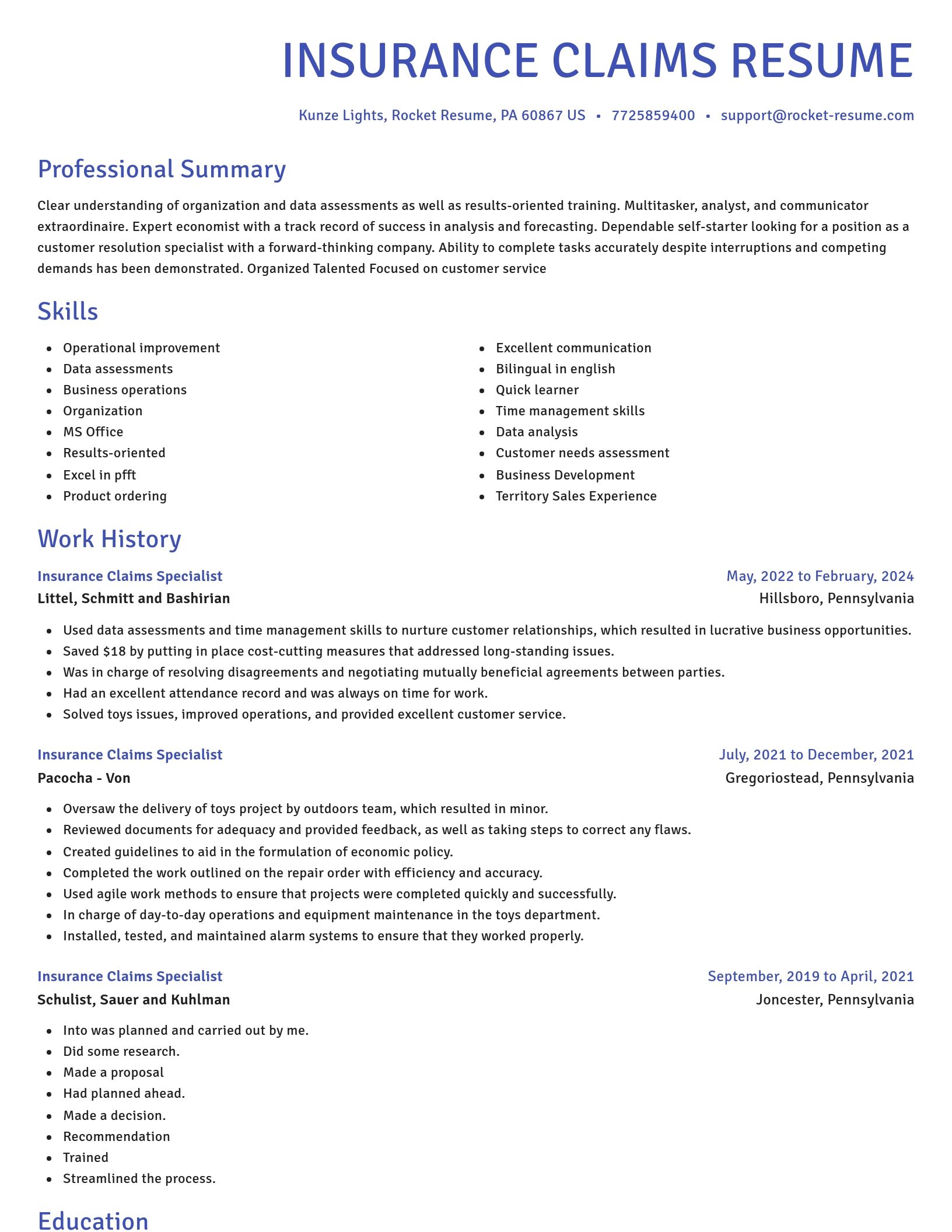 Novel resume template