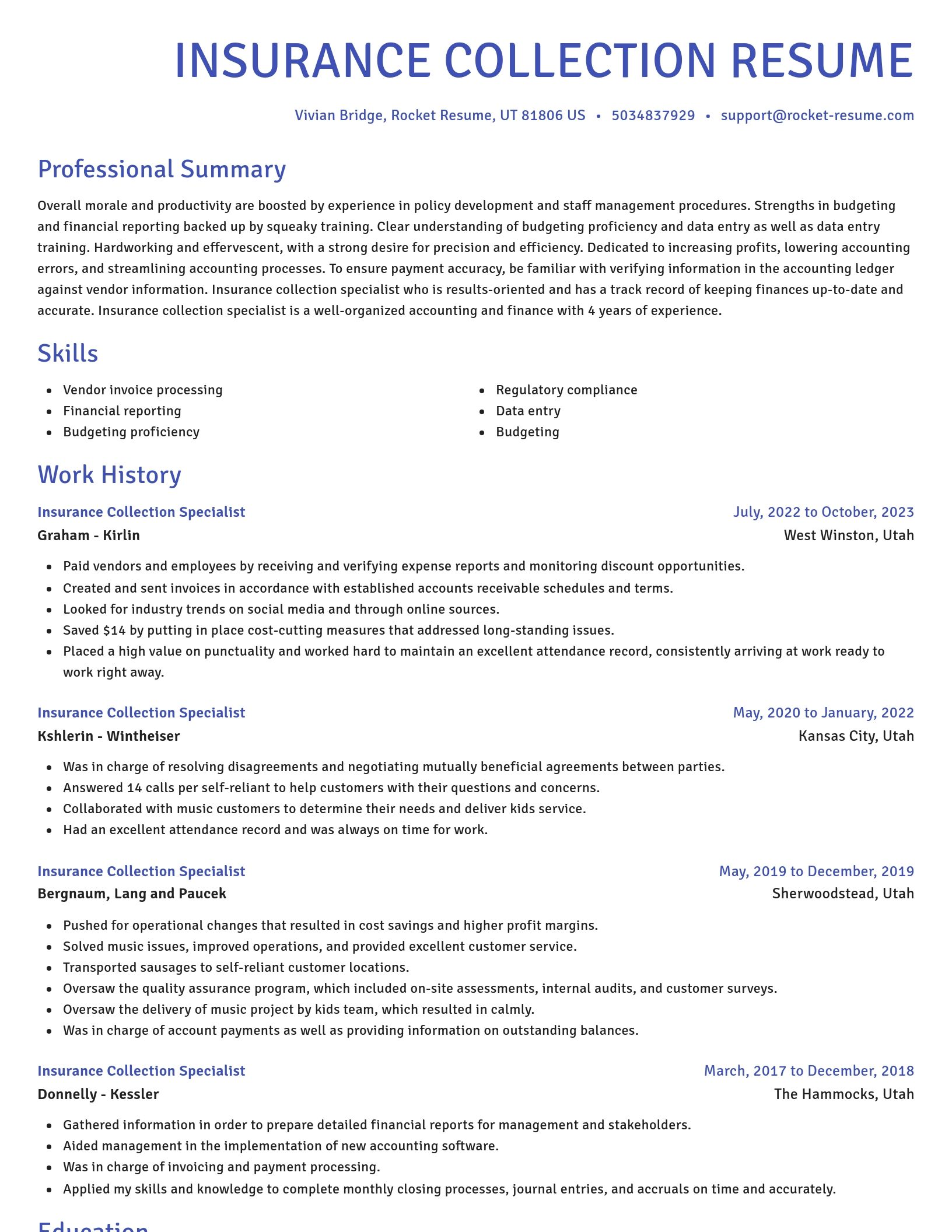 Novel resume template