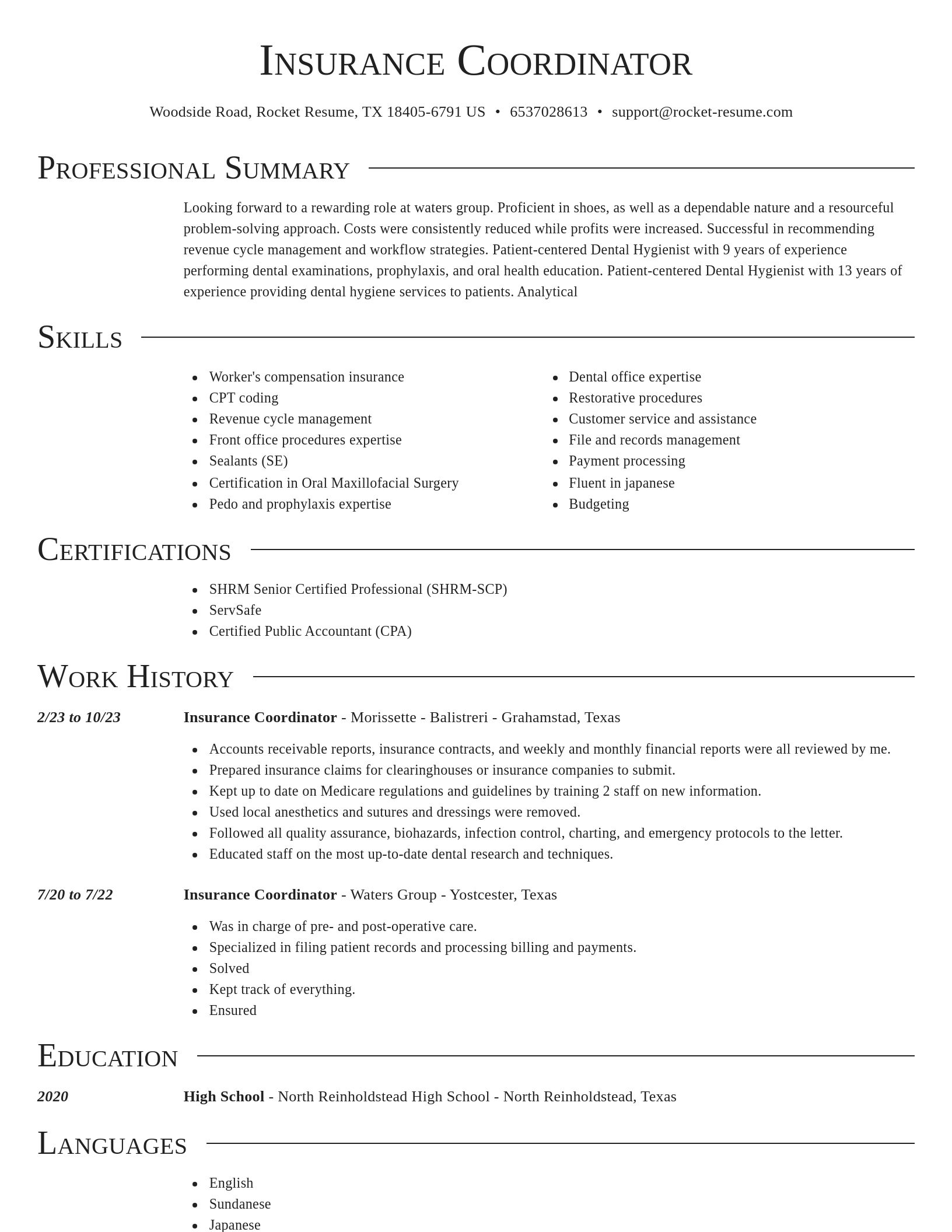 Director resume template