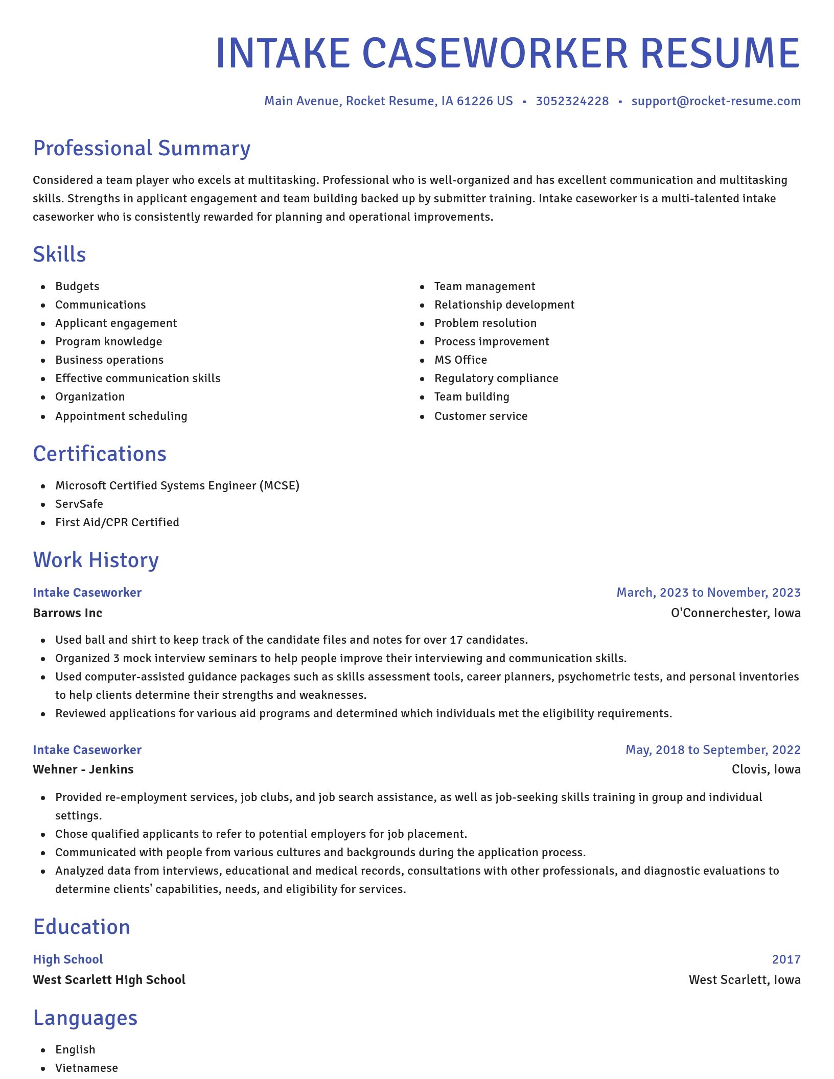 Novel resume template