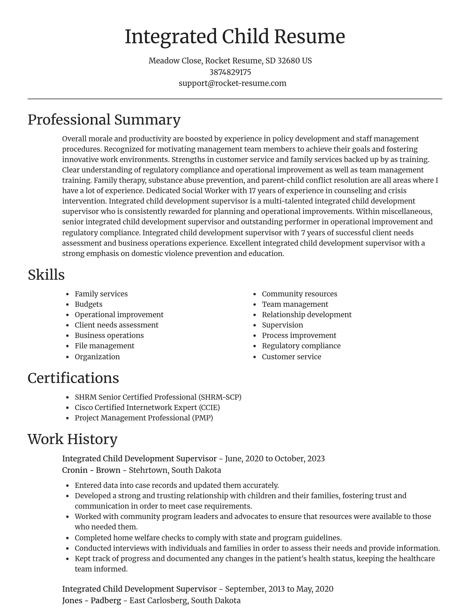 Focal Point resume template