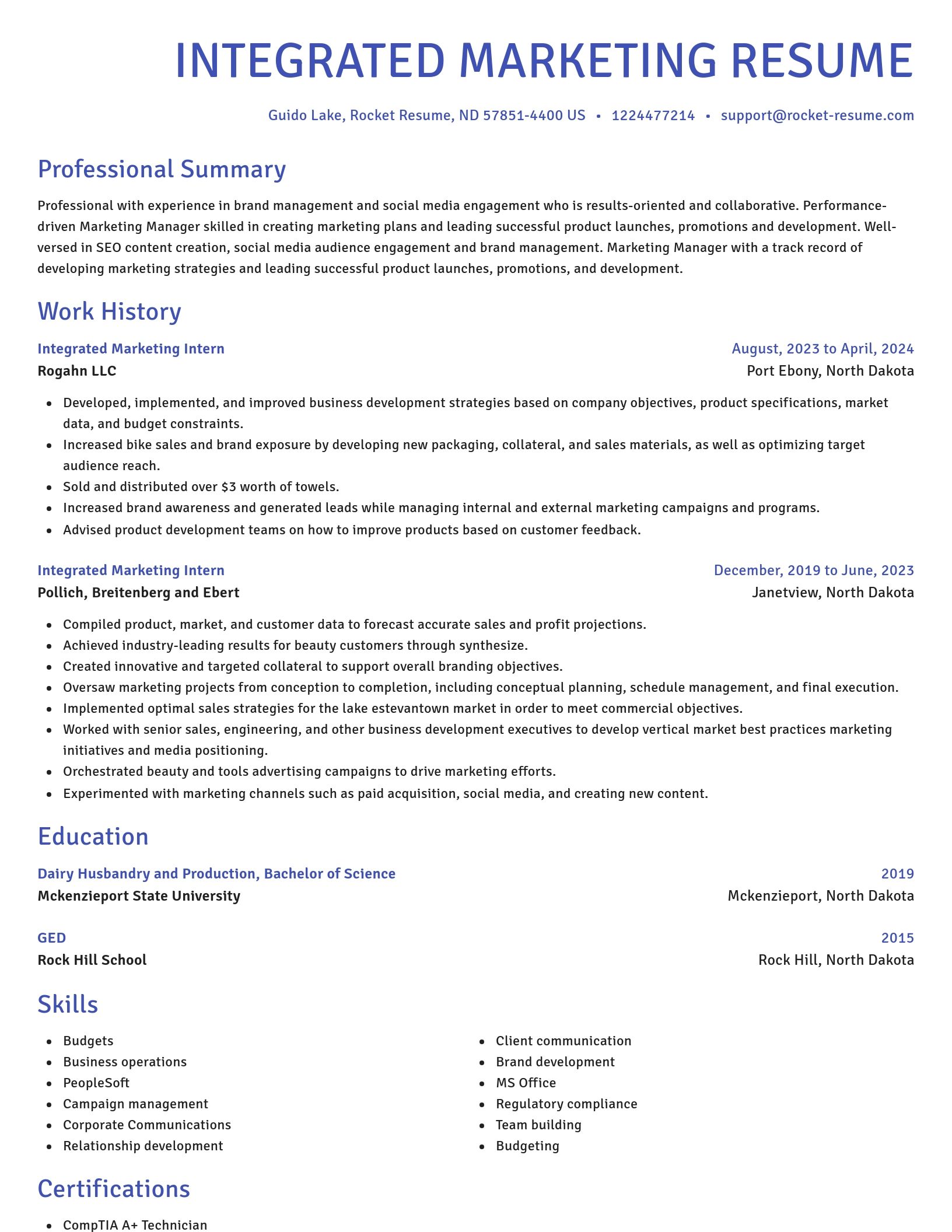 Novel resume template
