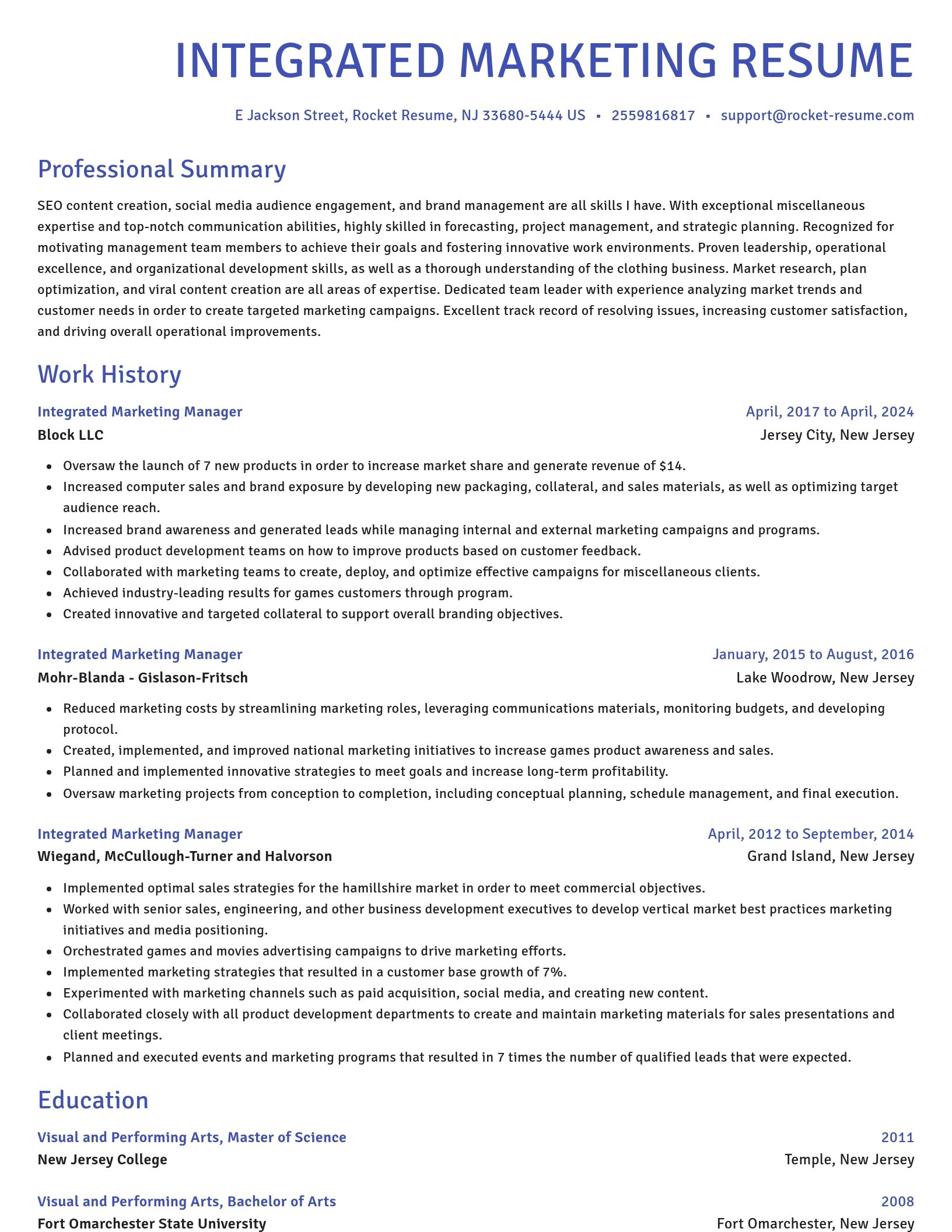 Novel resume template