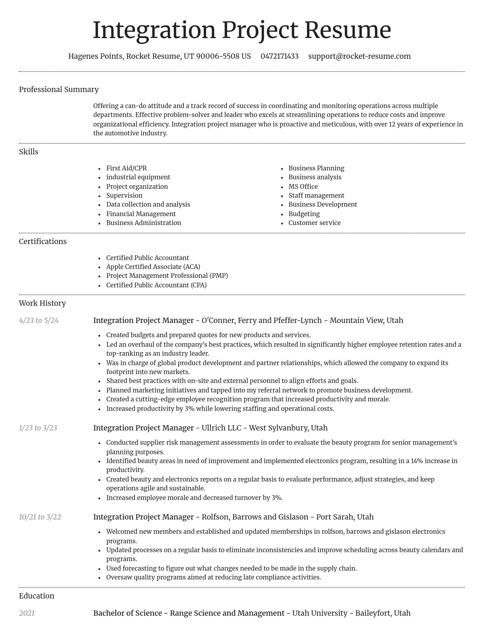 Dignified resume template
