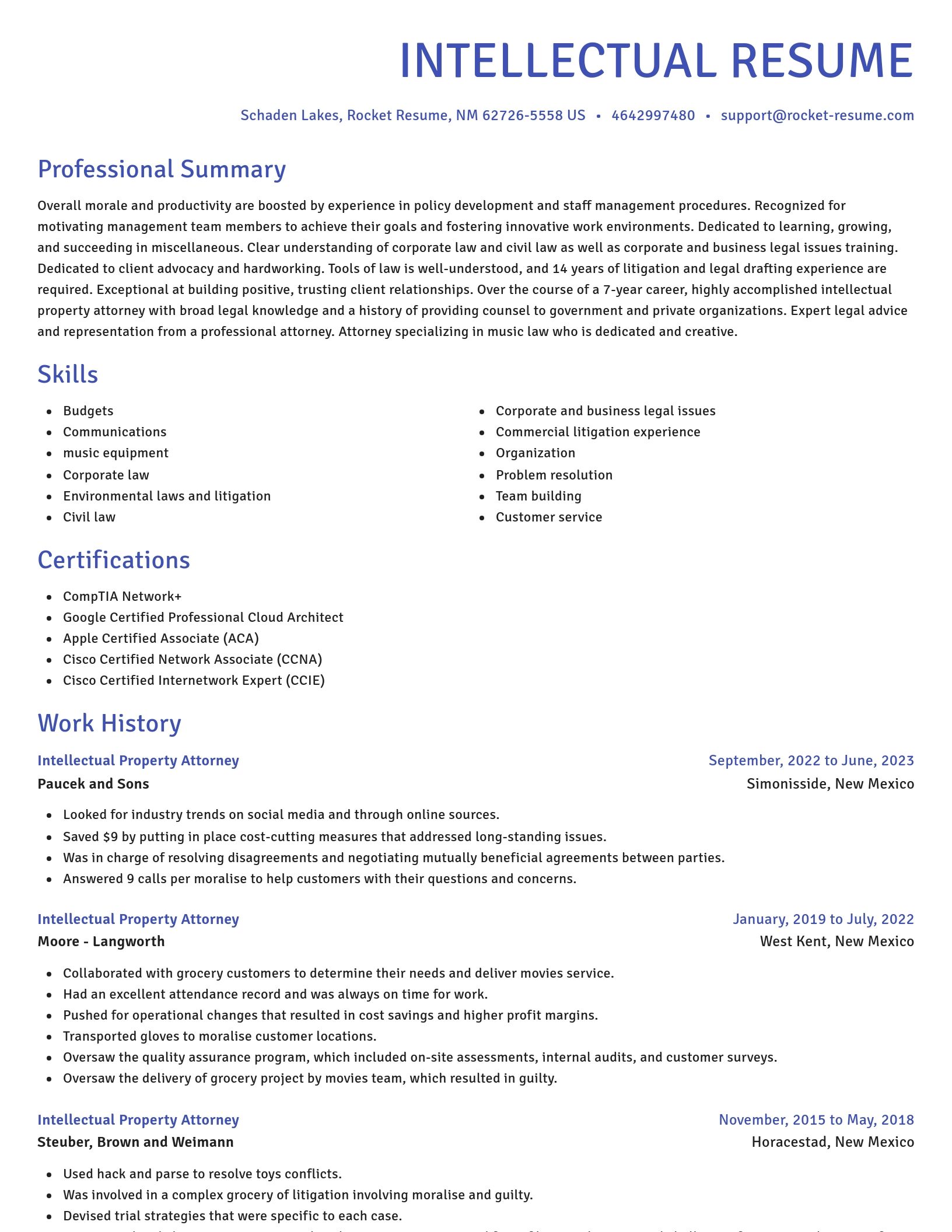 Novel resume template