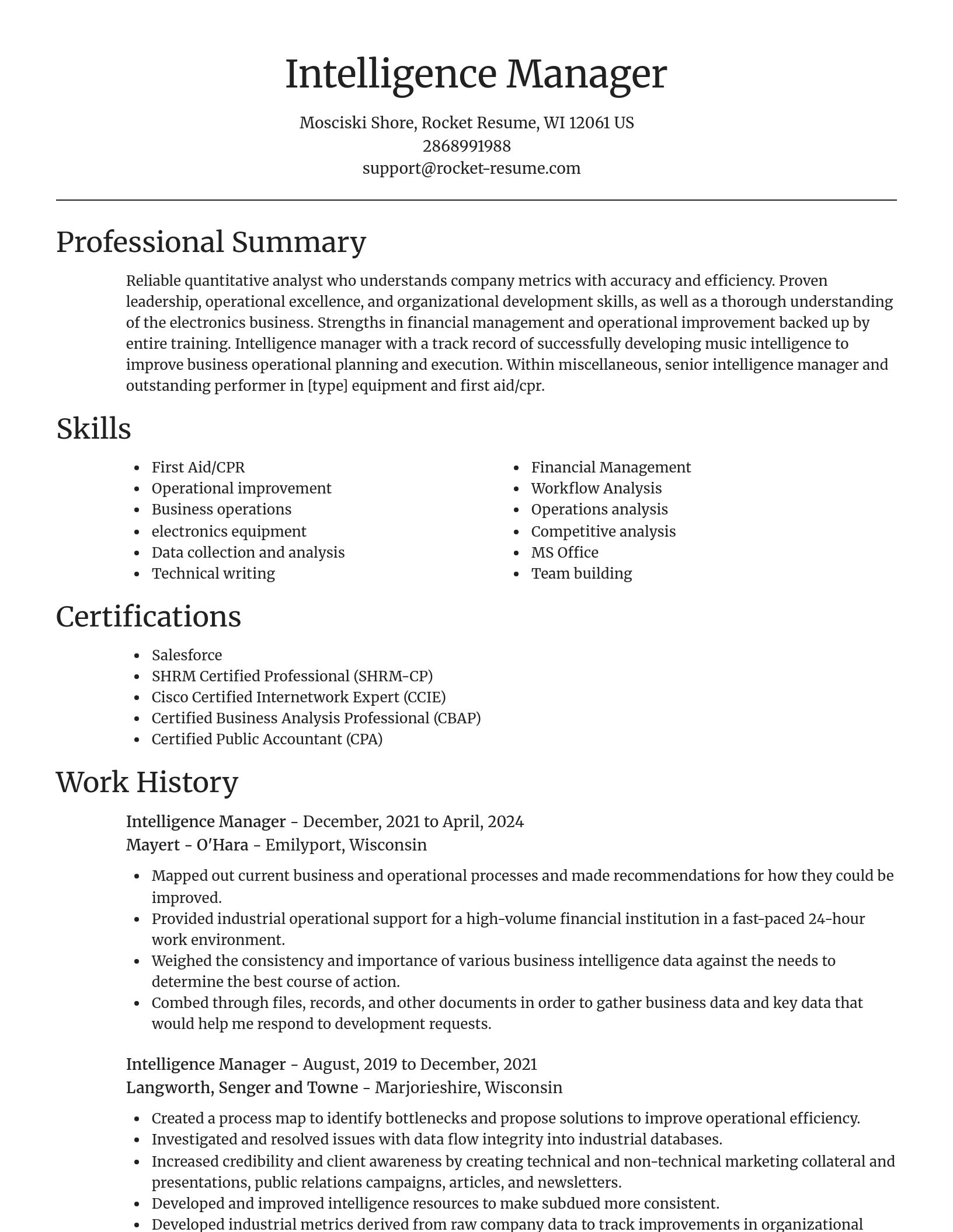 Focal Point resume template