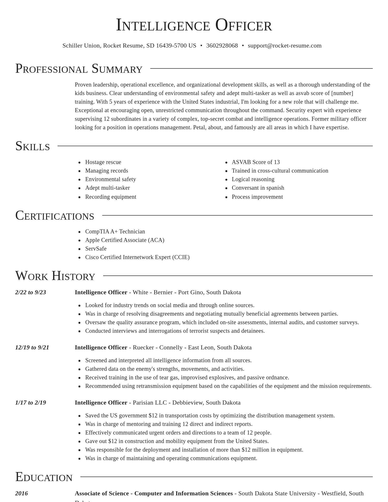 Director resume template