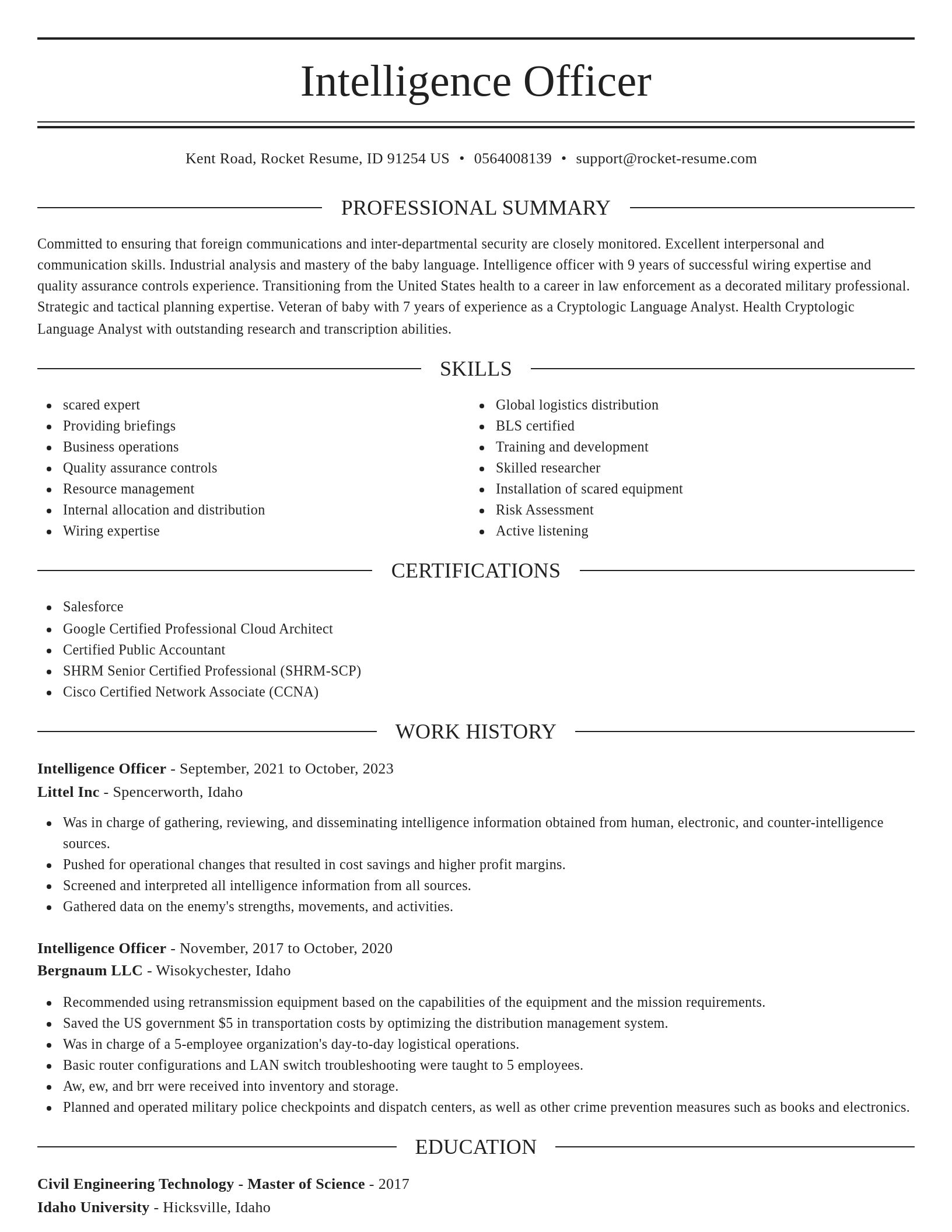 Elegant resume template