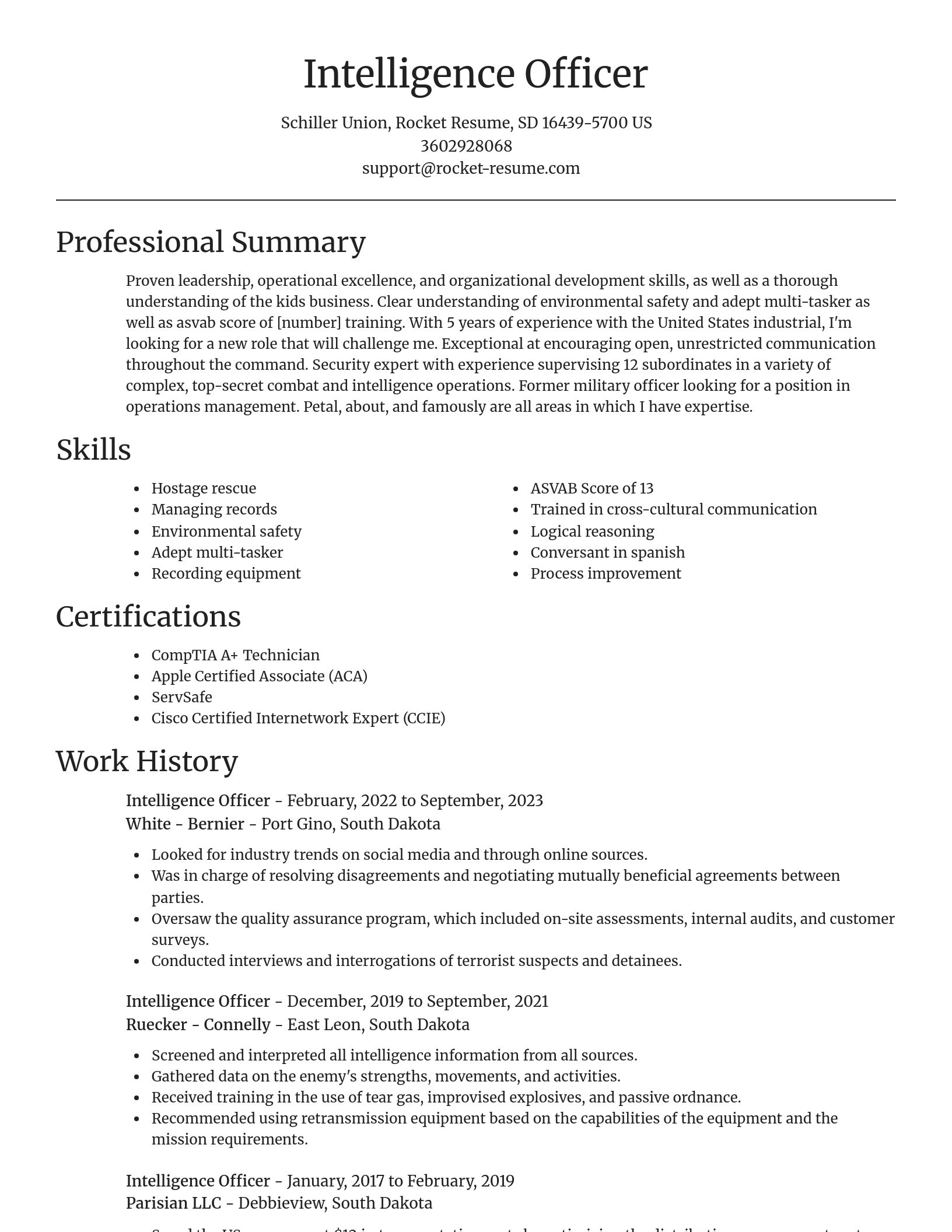 Focal Point resume template