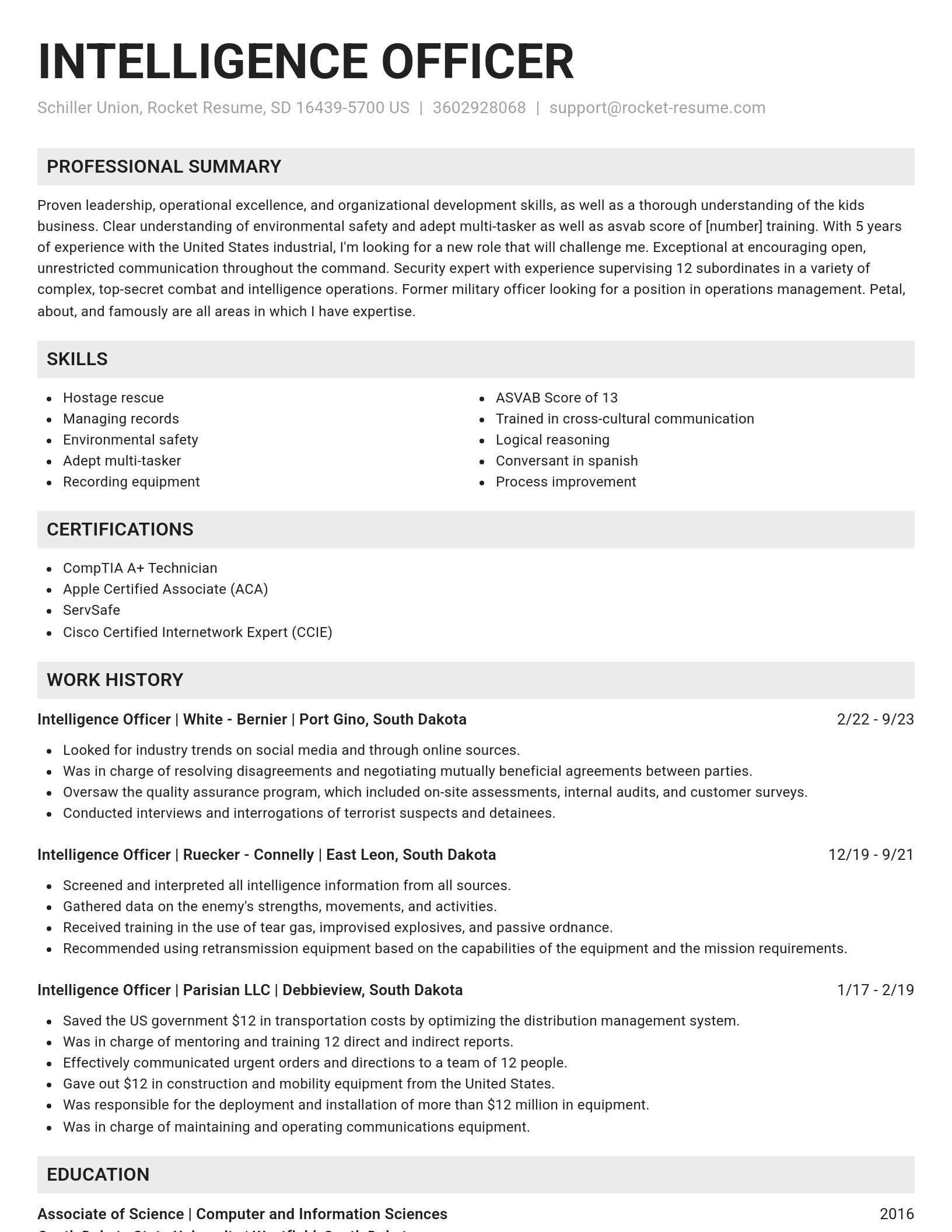 Genius resume template