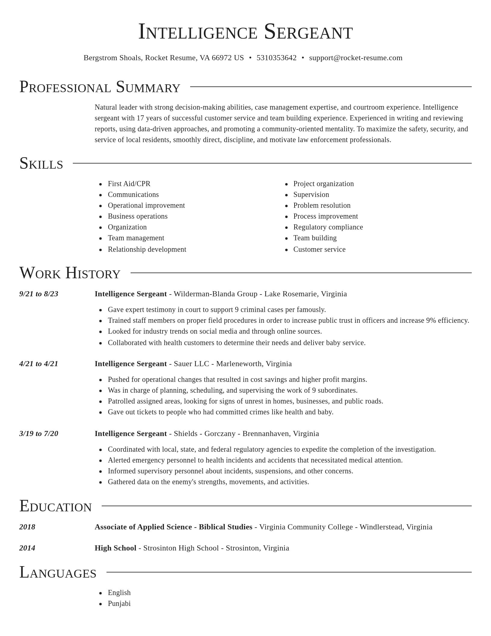 Director resume template