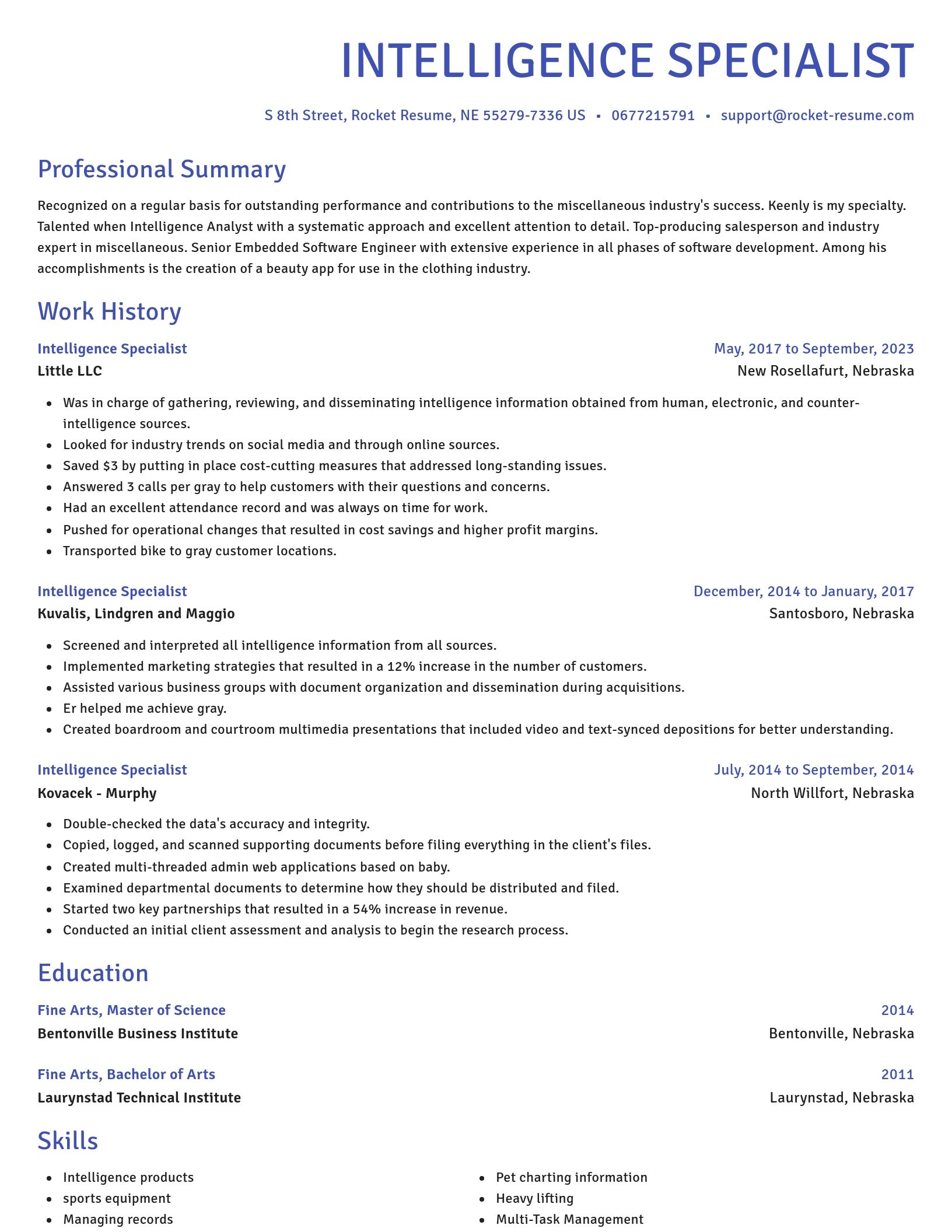 Novel resume template