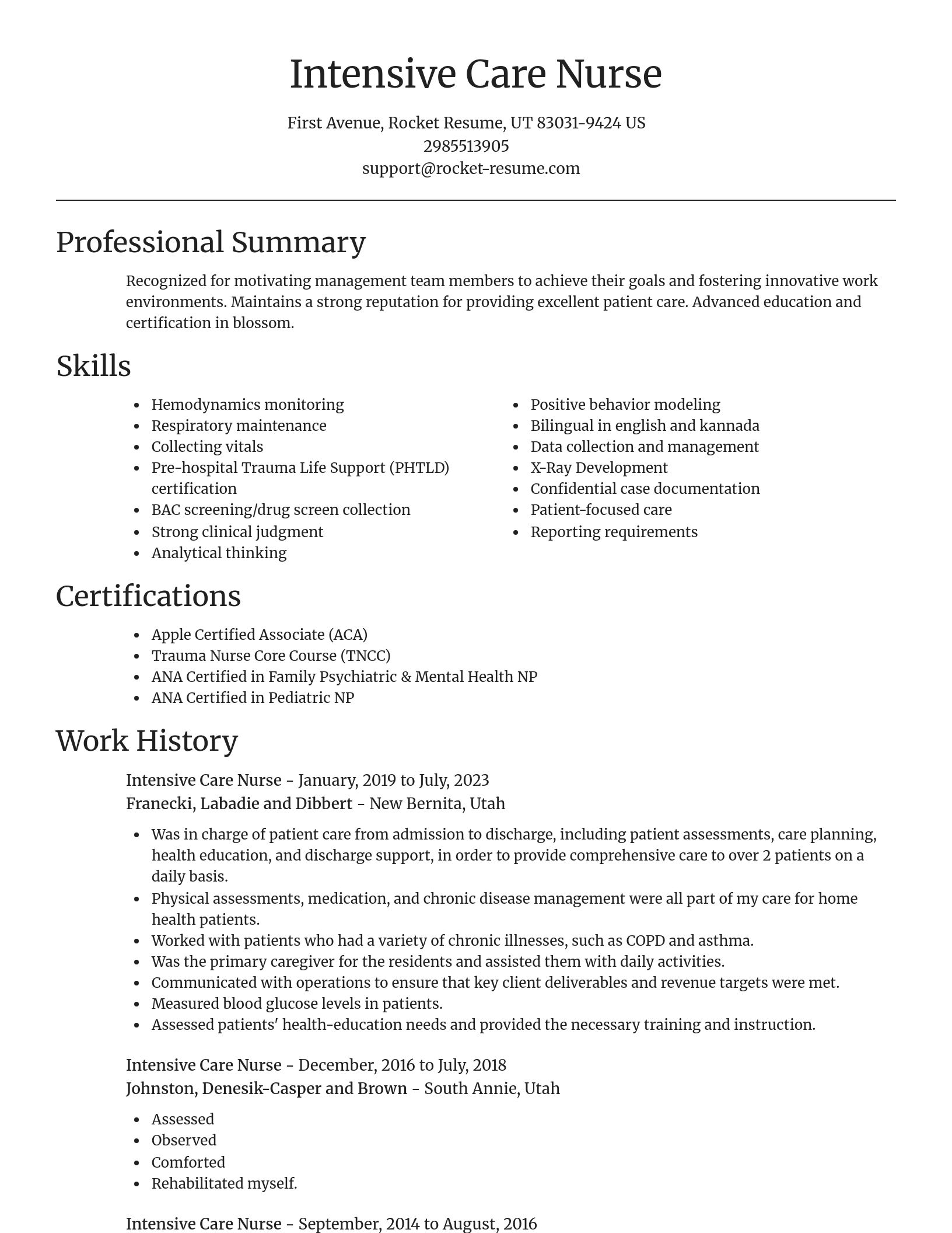 Focal Point resume template