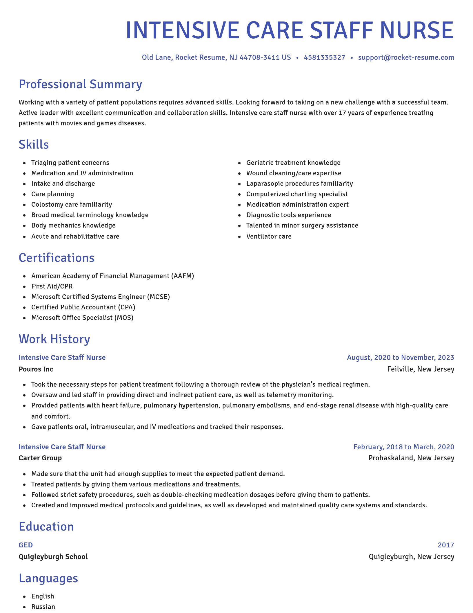 Novel resume template