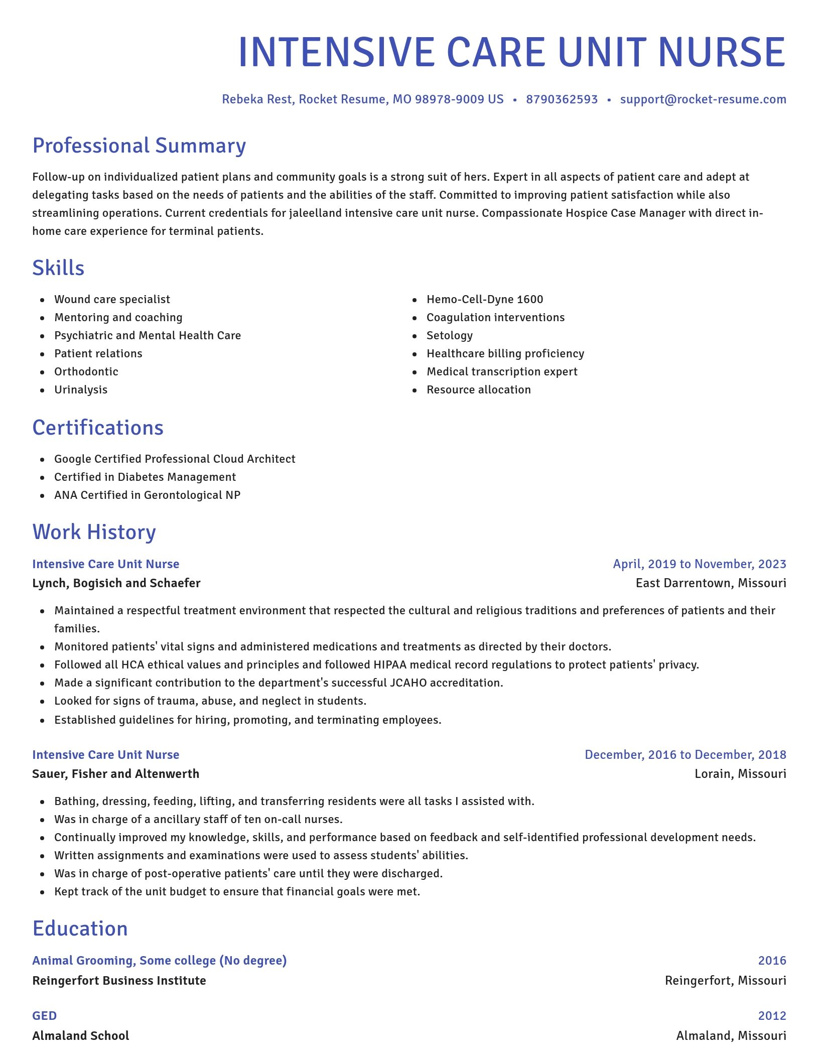 Novel resume template