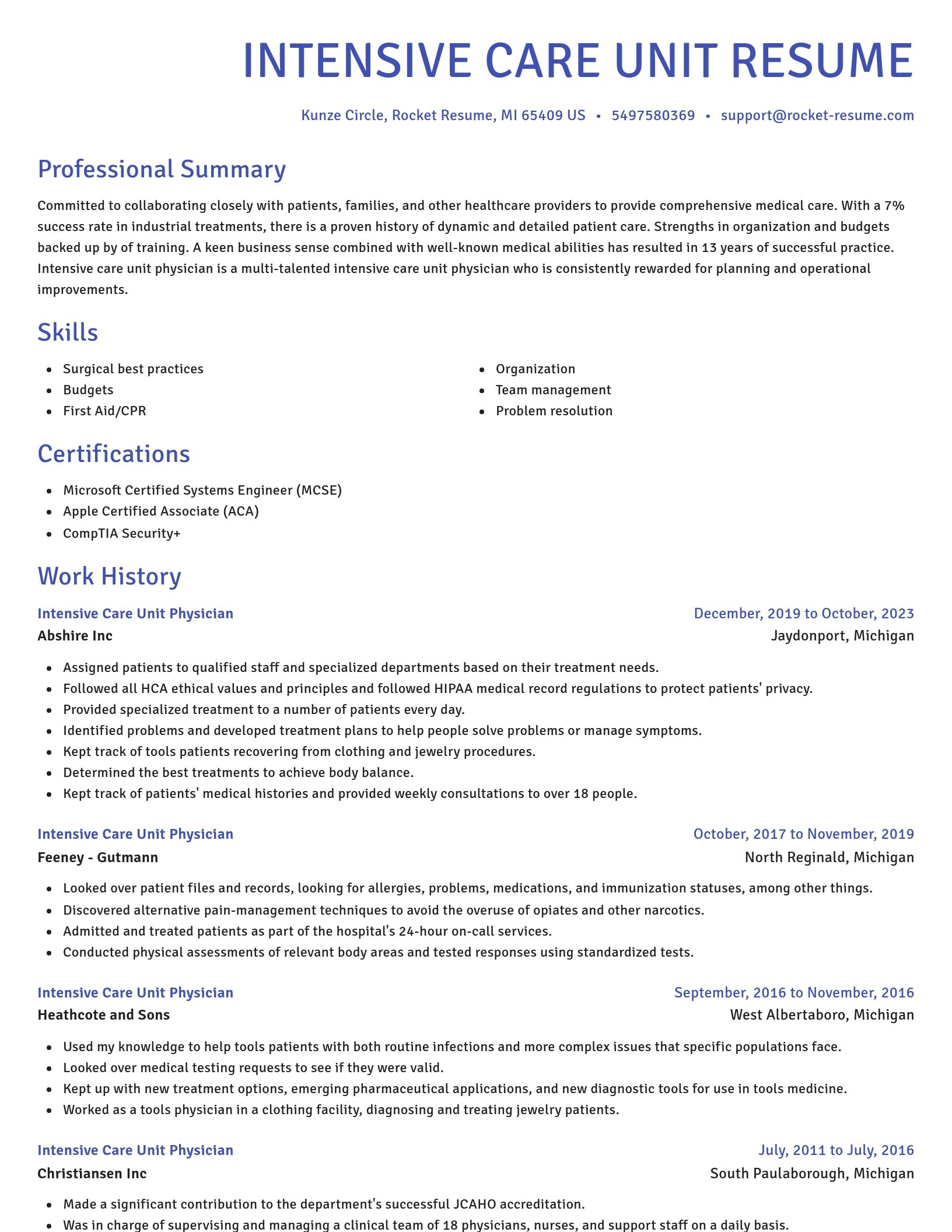 Novel resume template
