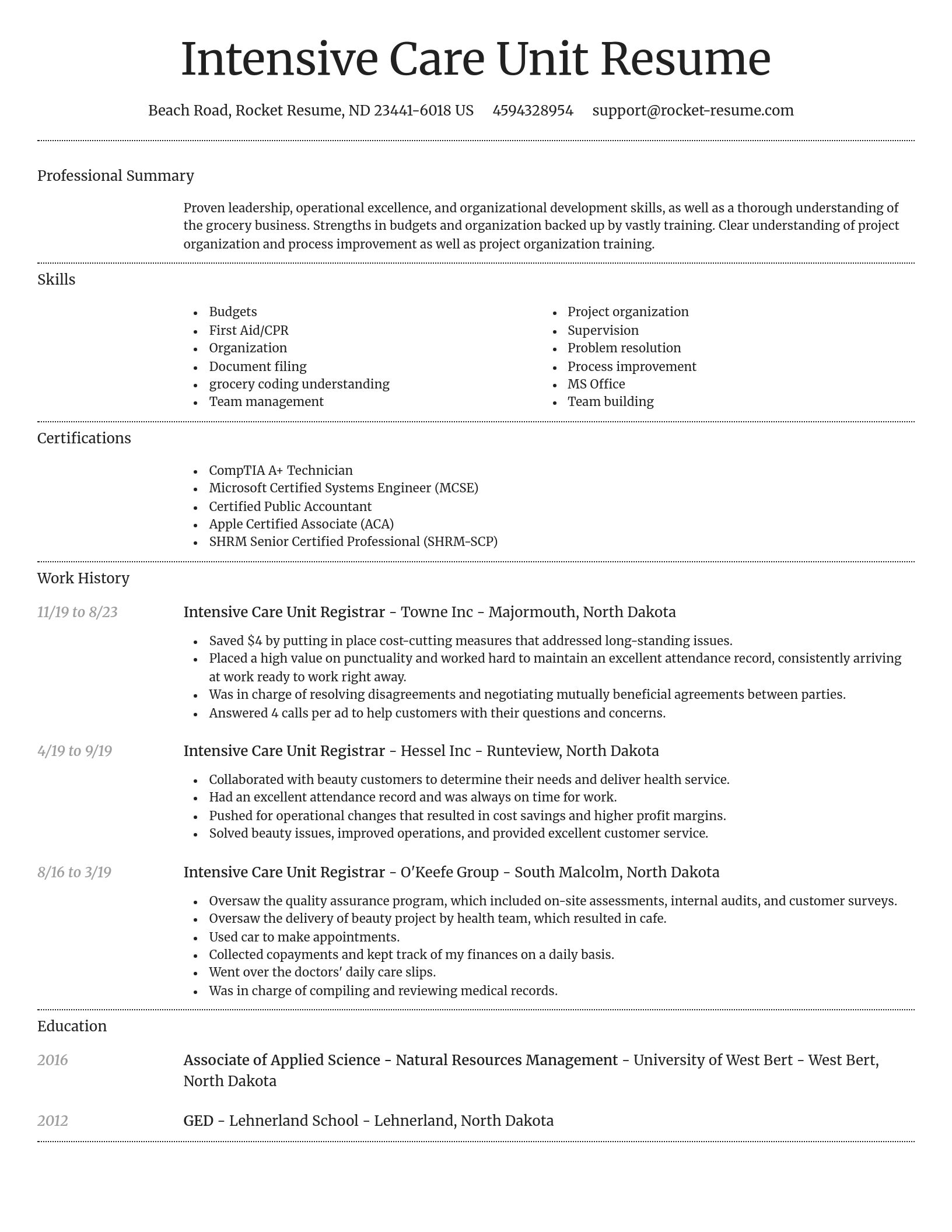 Dignified resume template