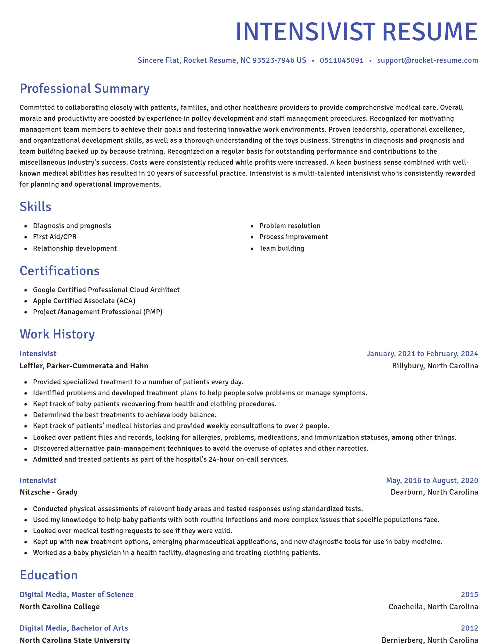 Novel resume template