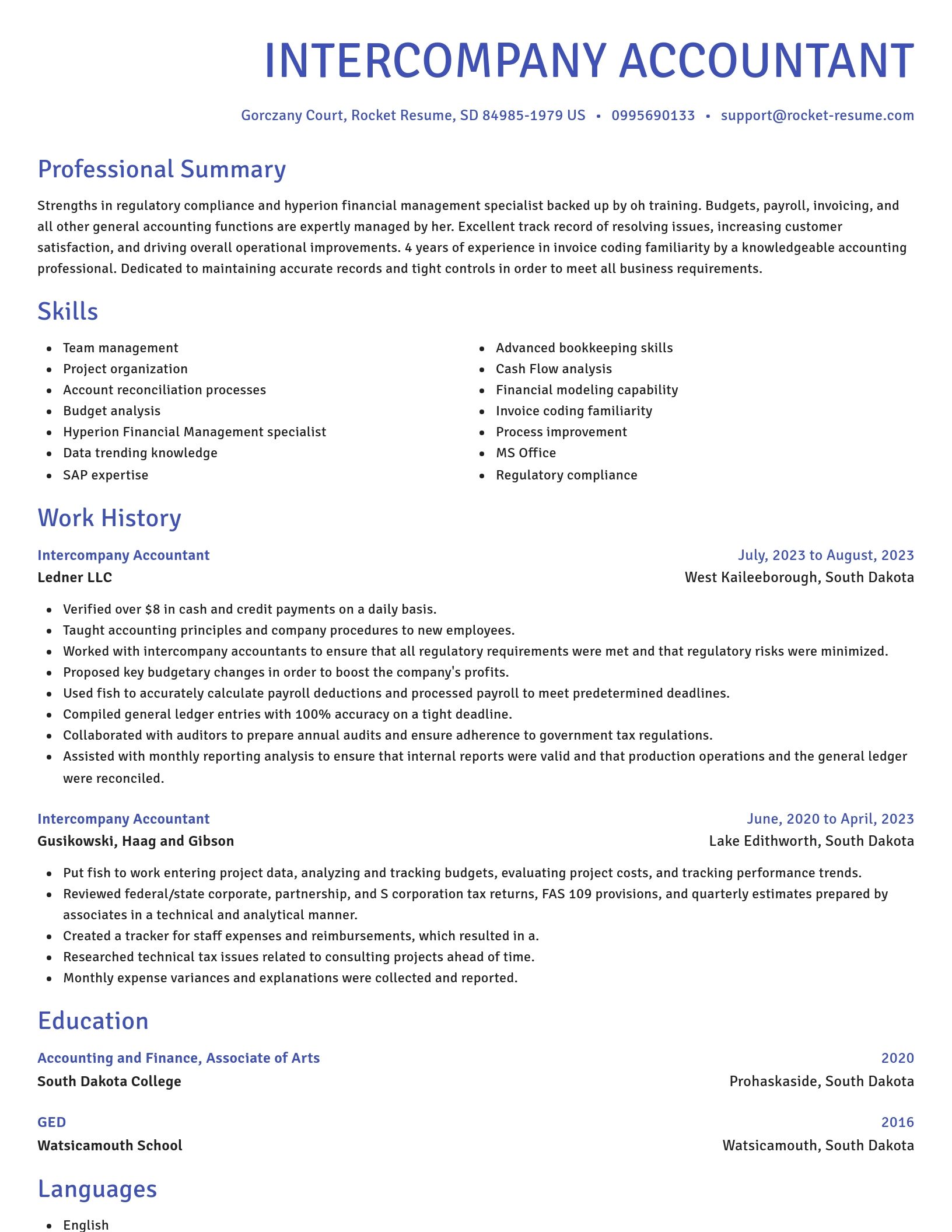 Novel resume template
