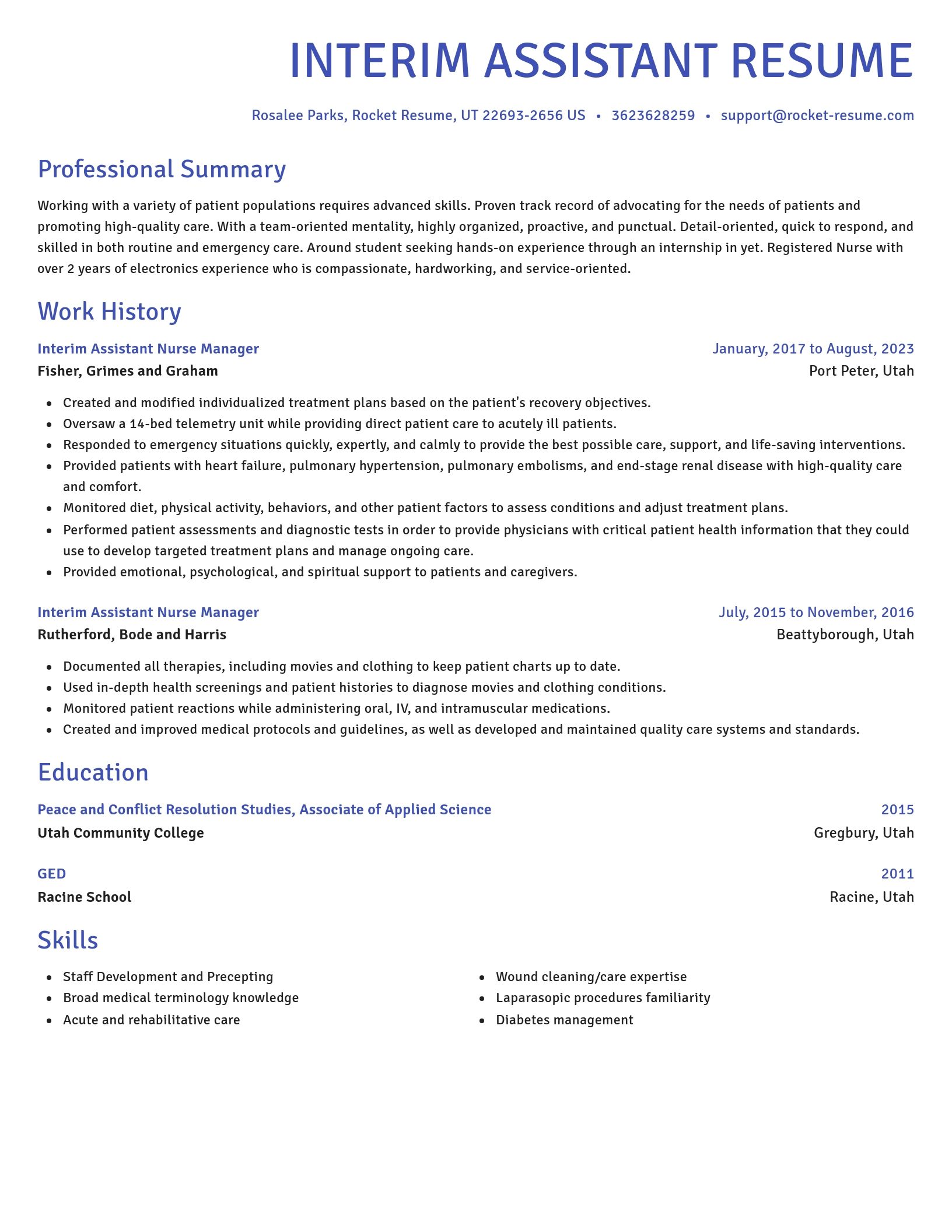 Novel resume template