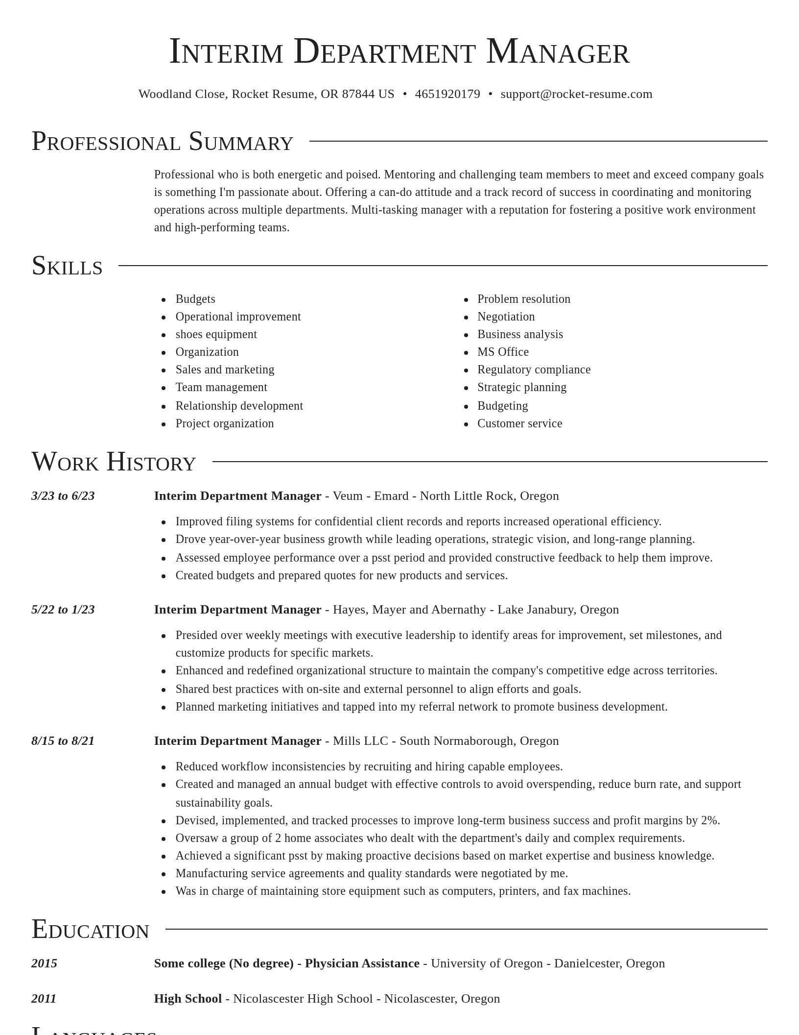 Director resume template
