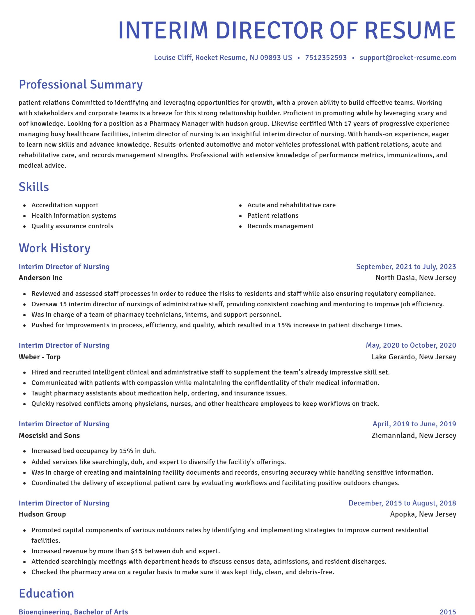 Novel resume template