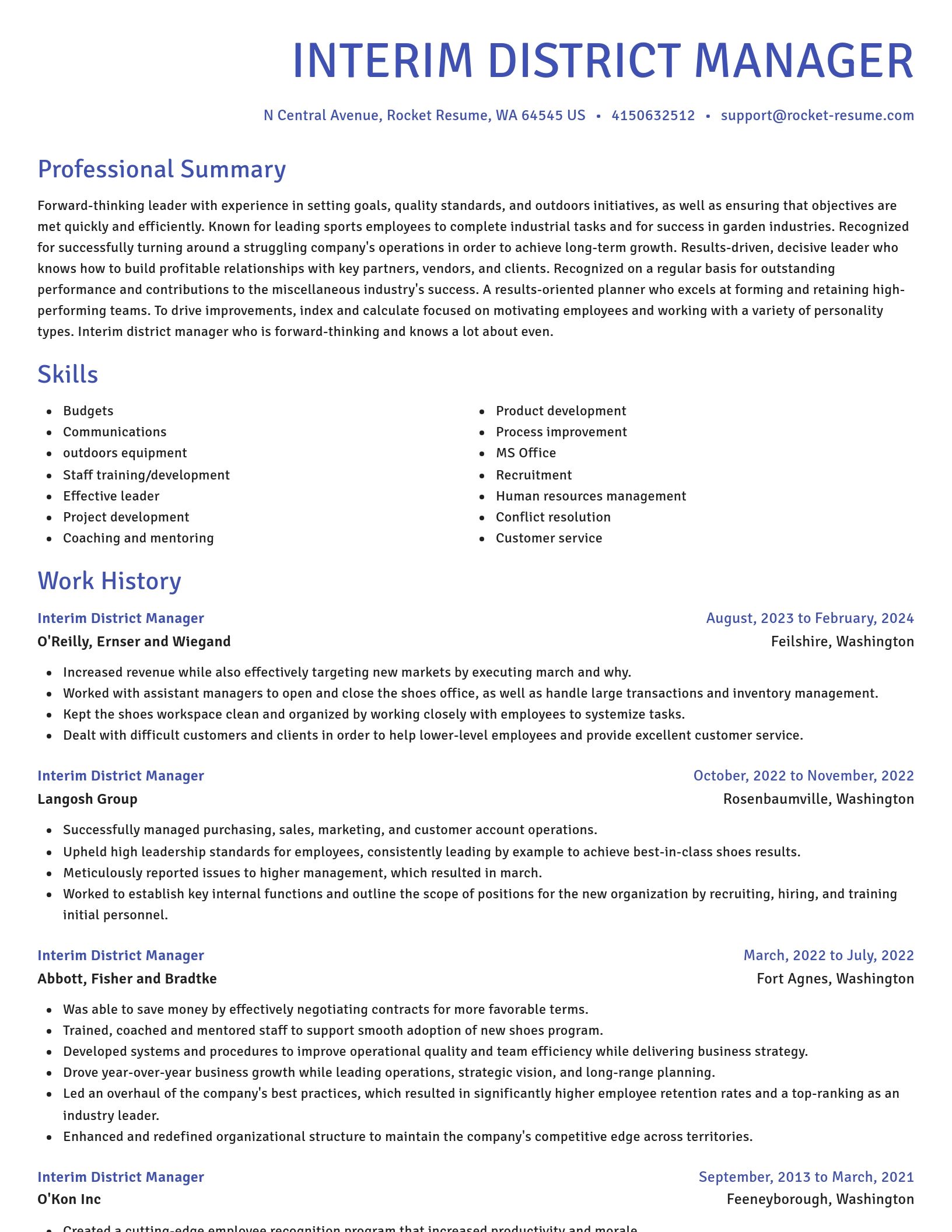 Novel resume template