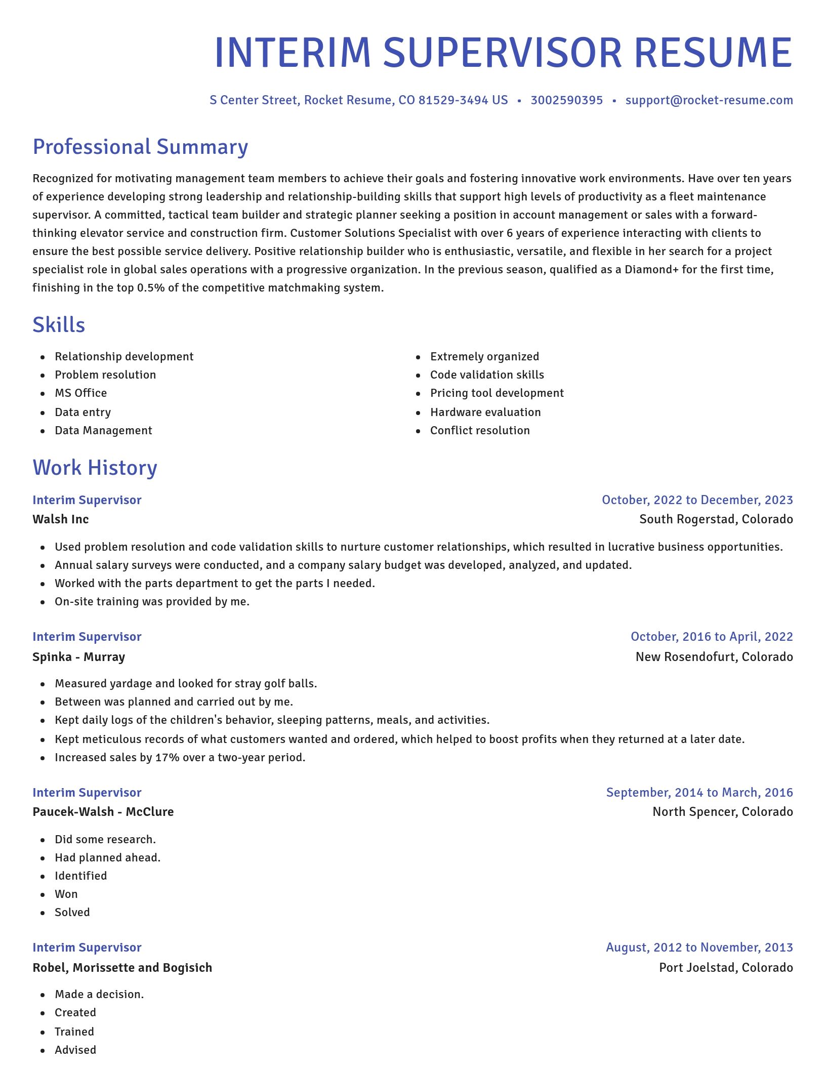 Novel resume template