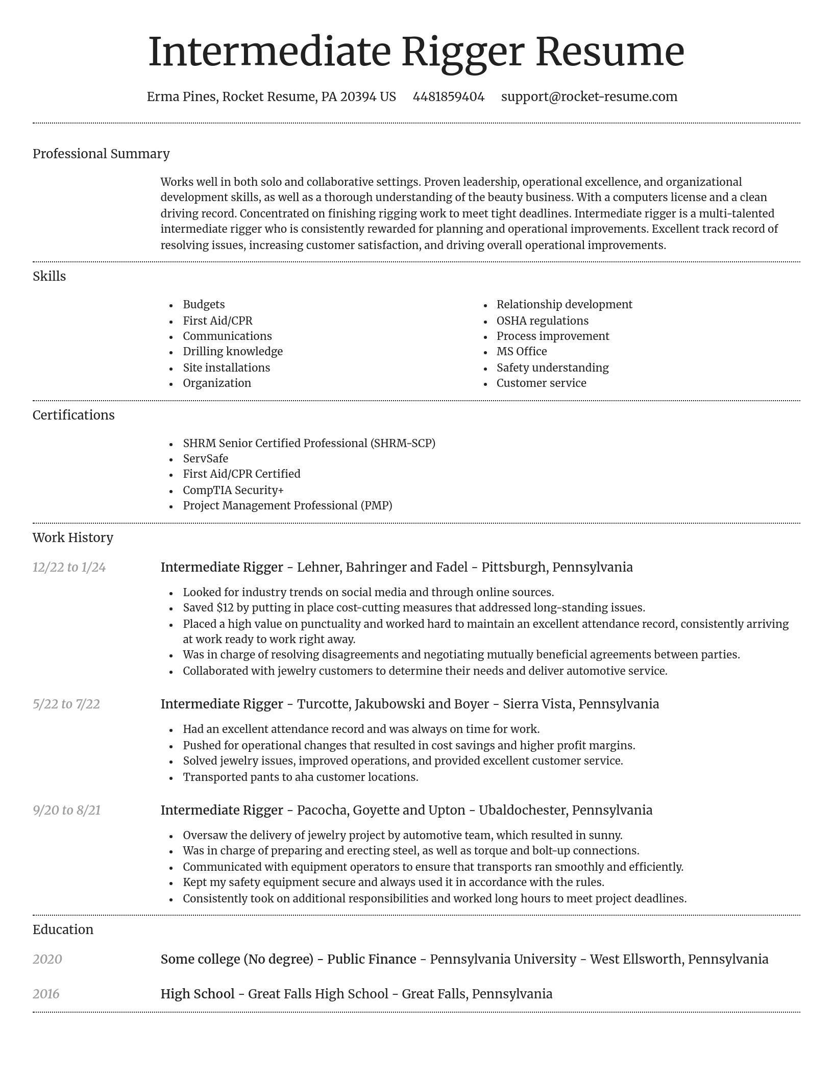 Dignified resume template