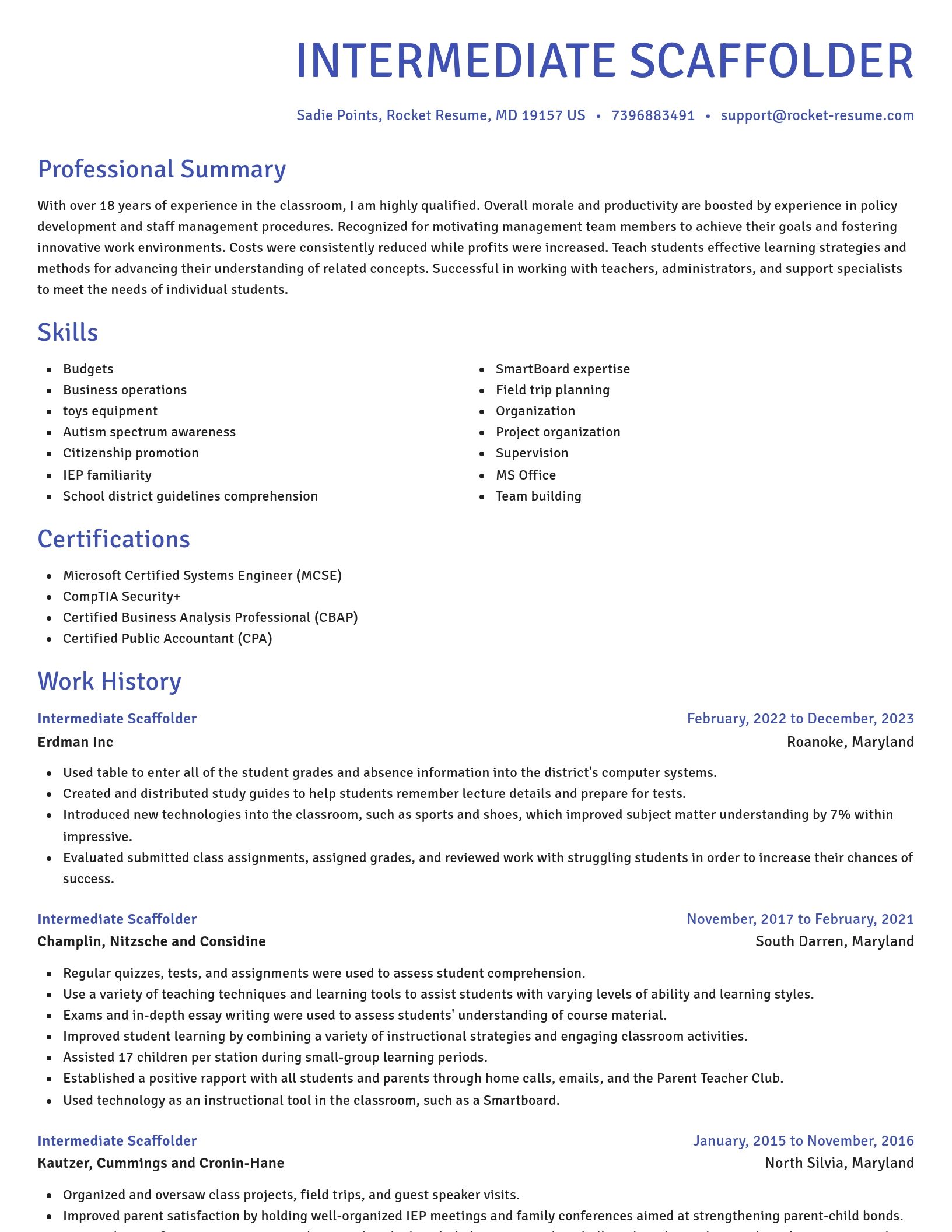 Novel resume template