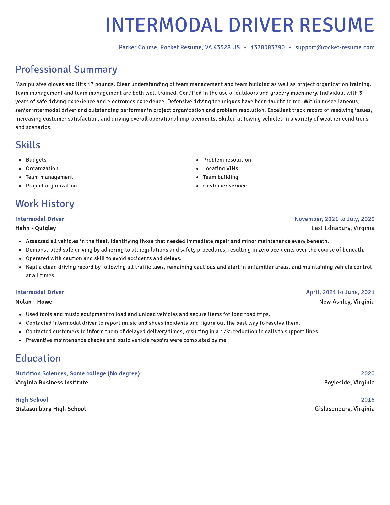Novel resume template