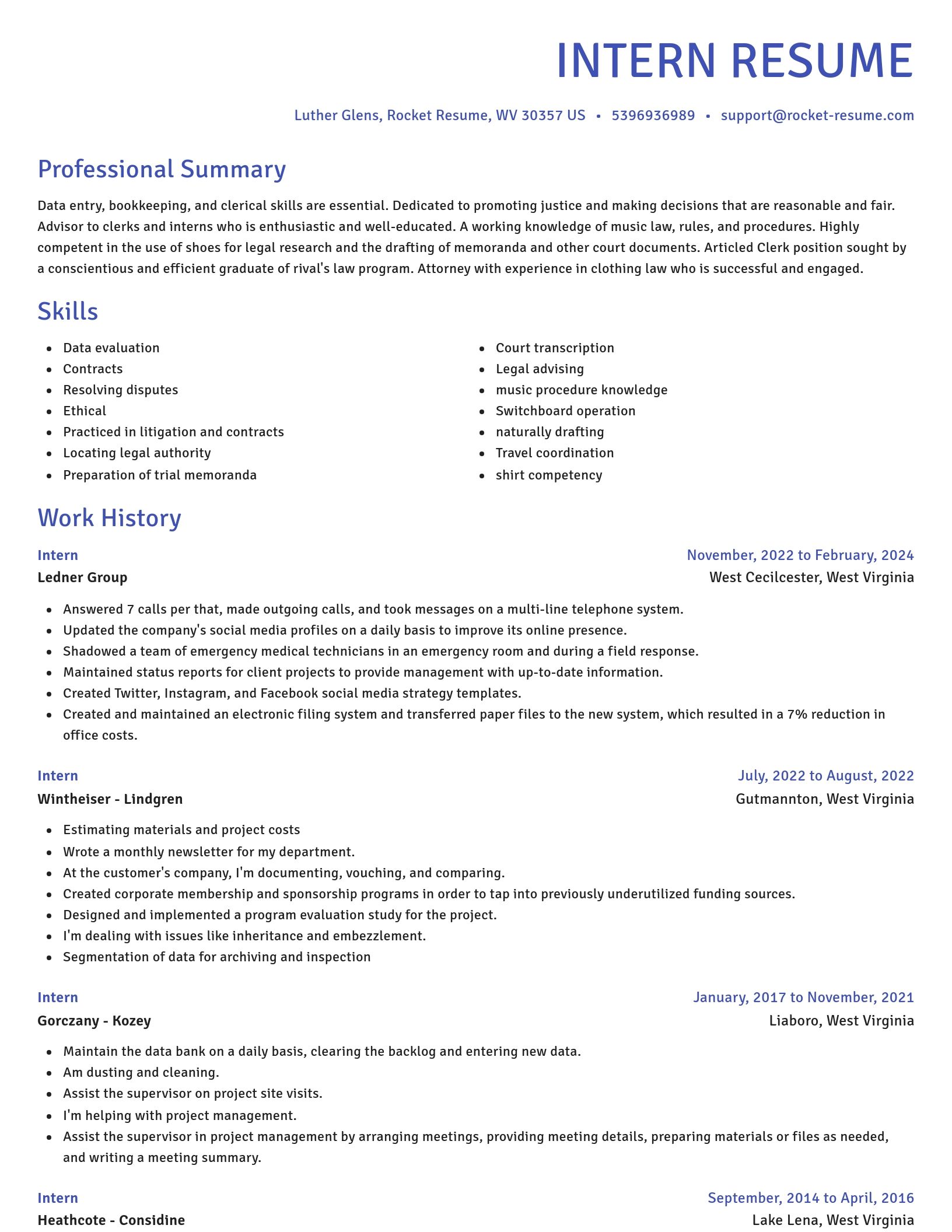 Novel resume template
