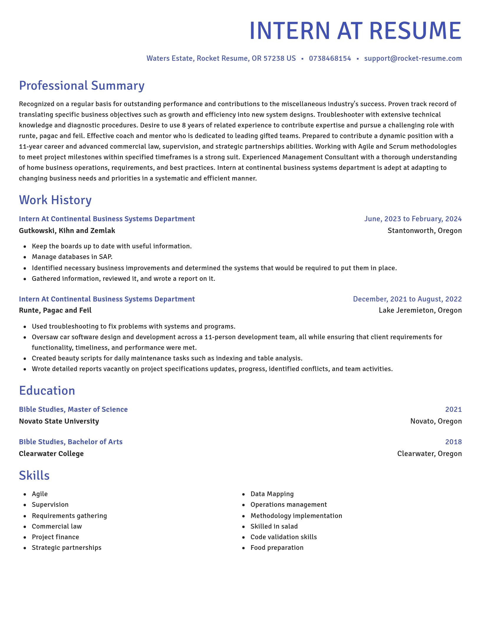 Novel resume template